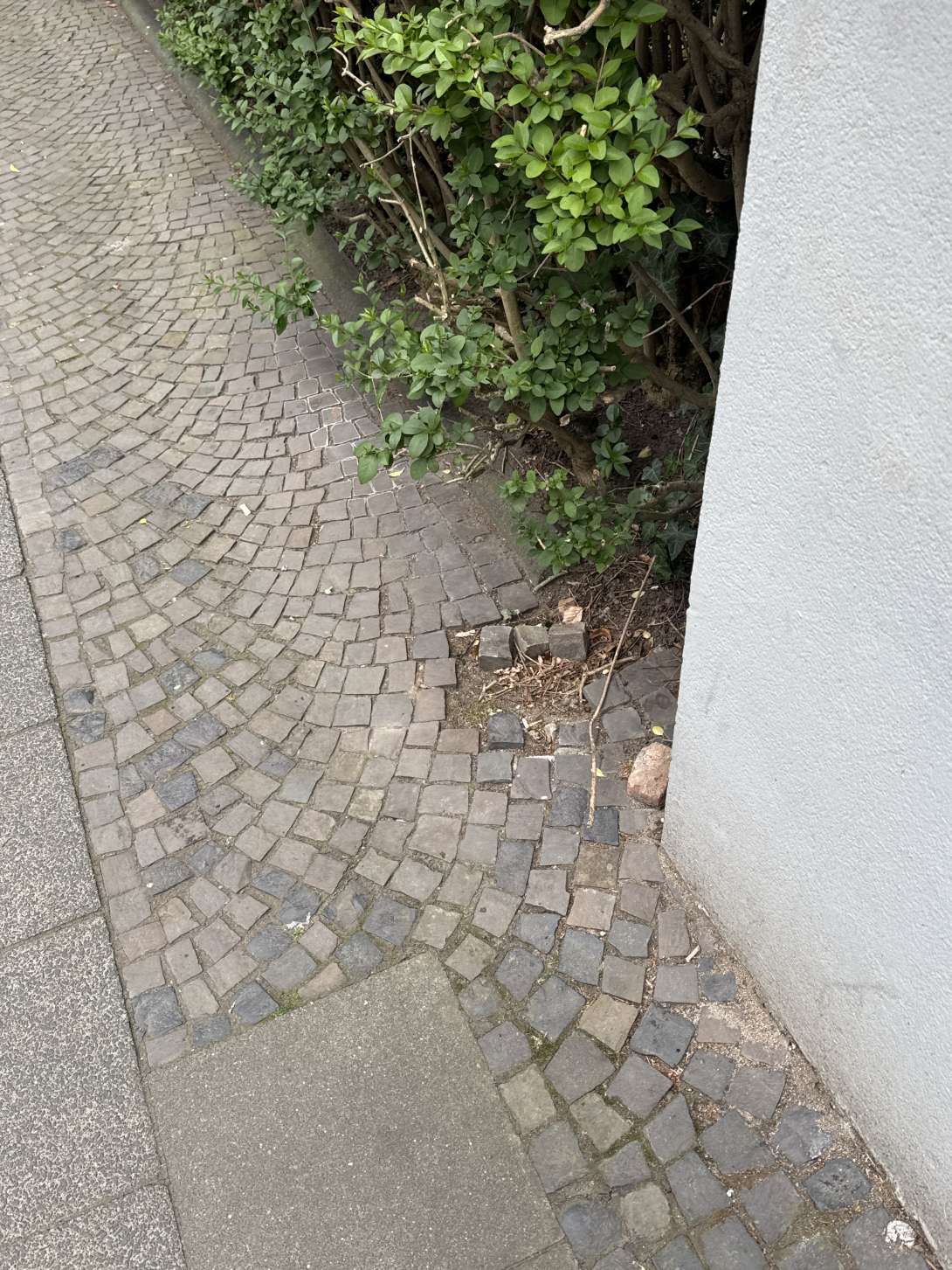 Bild zu gemeldetem Anliegen vom *2025-05-24 10:55:16