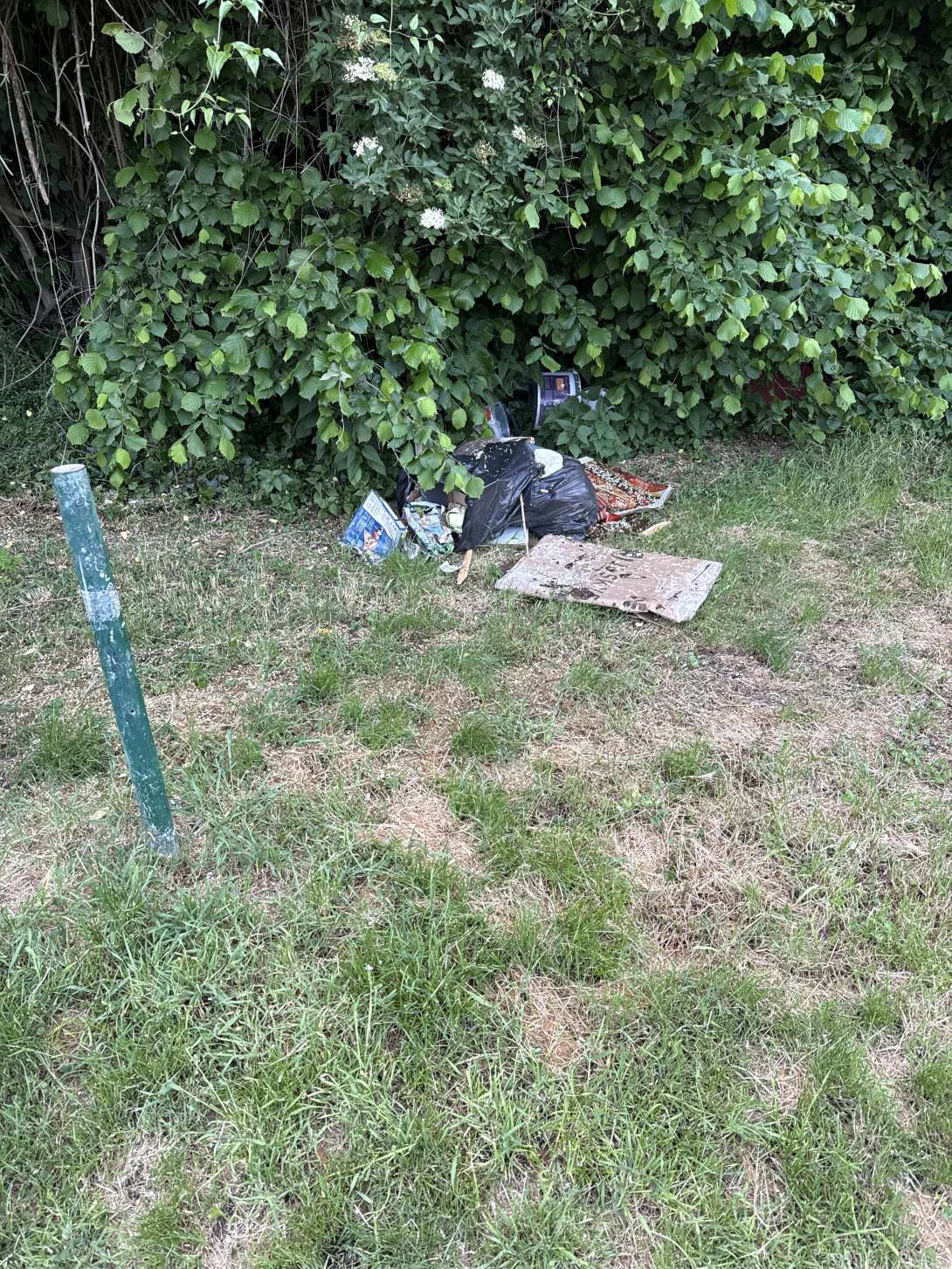 Bild zu gemeldetem Anliegen vom *2025-05-26 13:12:04