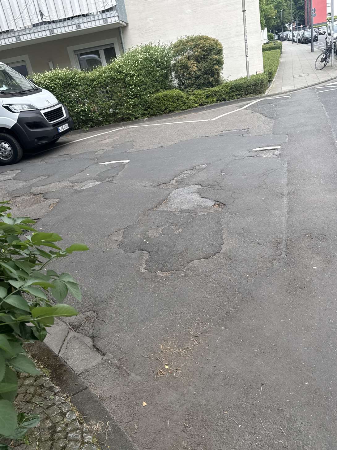Bild zu gemeldetem Anliegen vom *2025-05-27 10:52:14