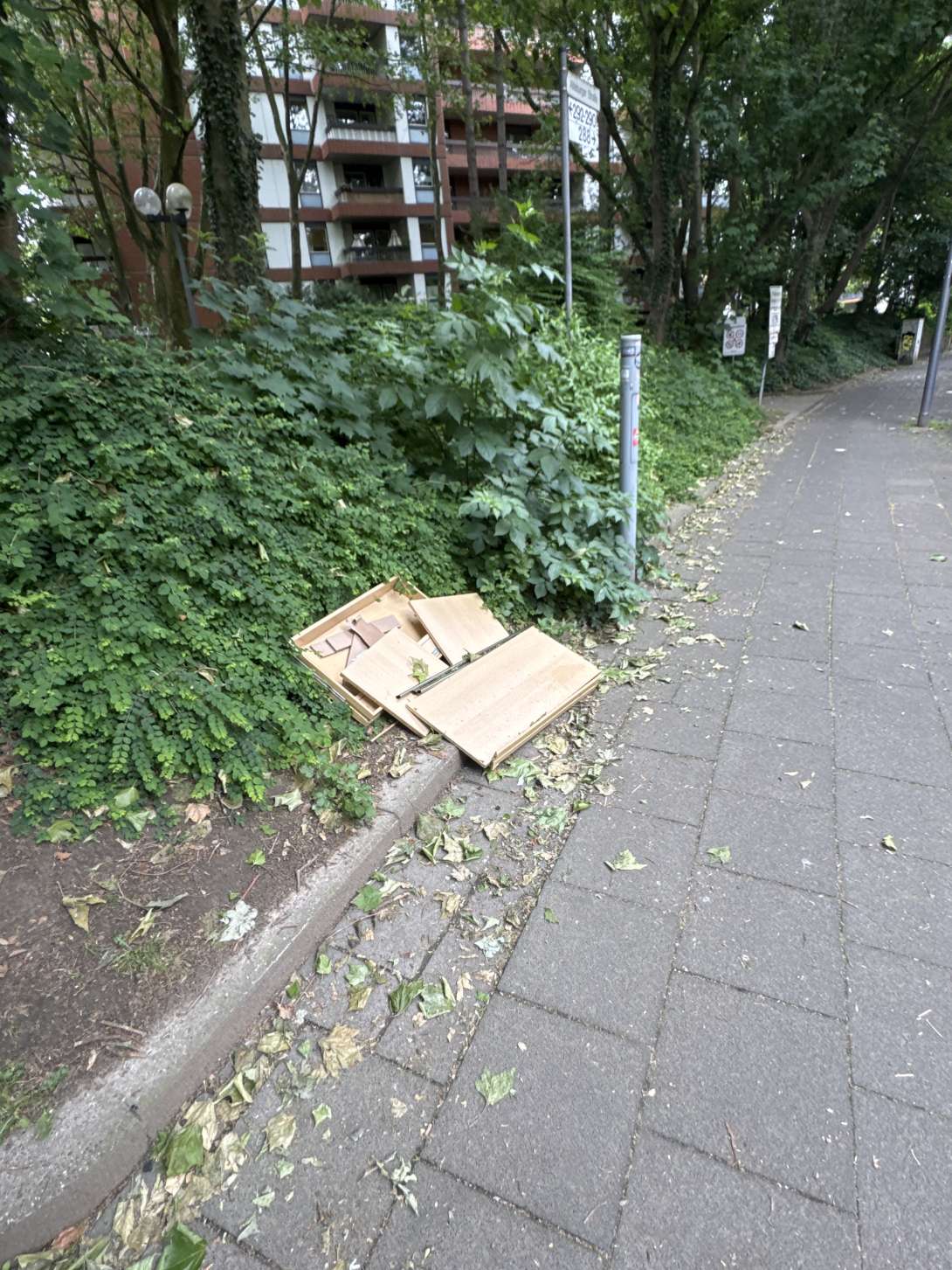 Bild zu gemeldetem Anliegen vom *2025-05-27 11:14:11
