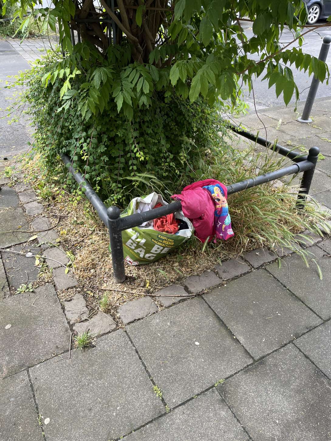 Bild zu gemeldetem Anliegen vom *2025-05-28 13:54:55