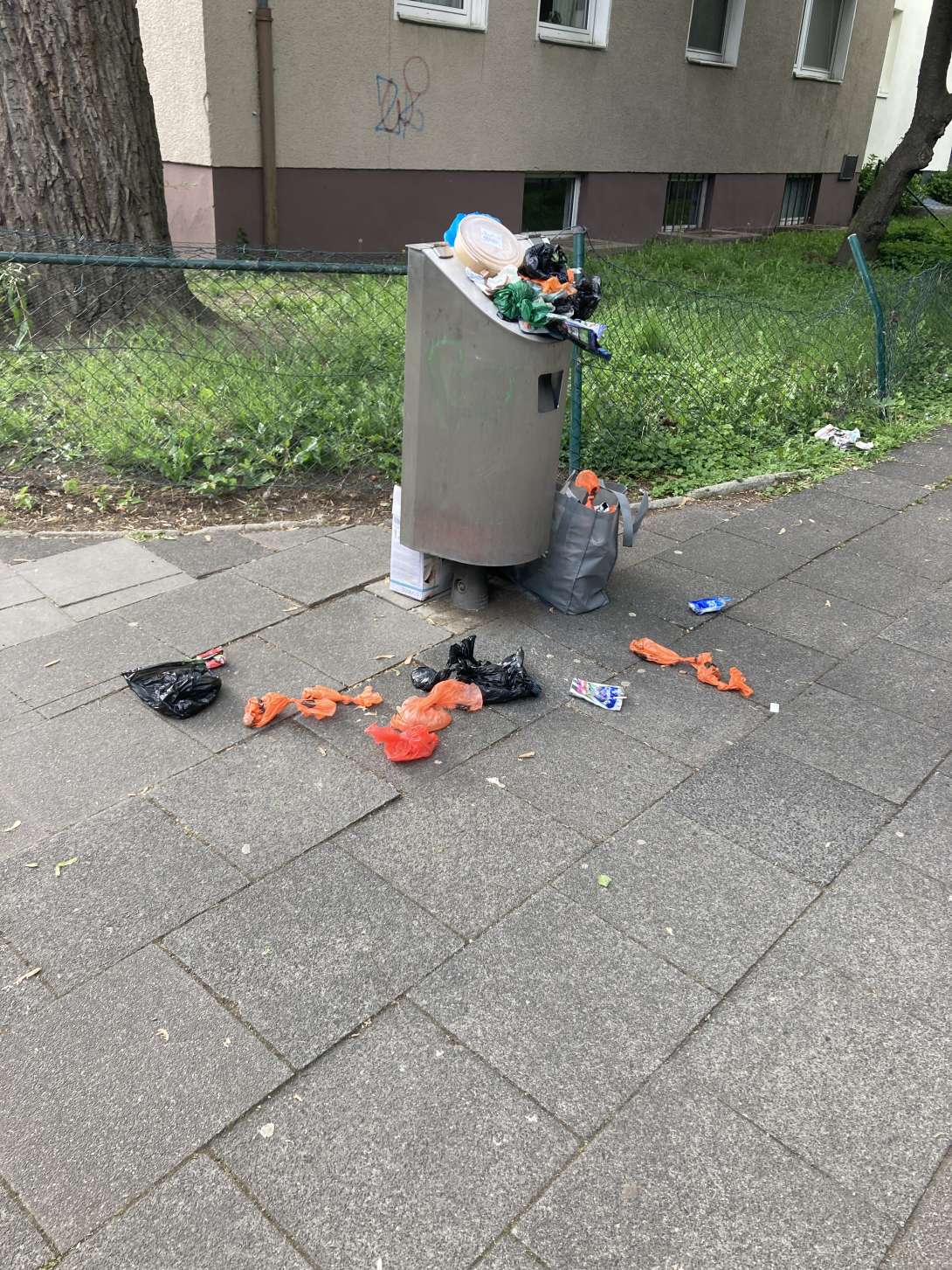 Bild zu gemeldetem Anliegen vom *2025-05-05 16:59:11