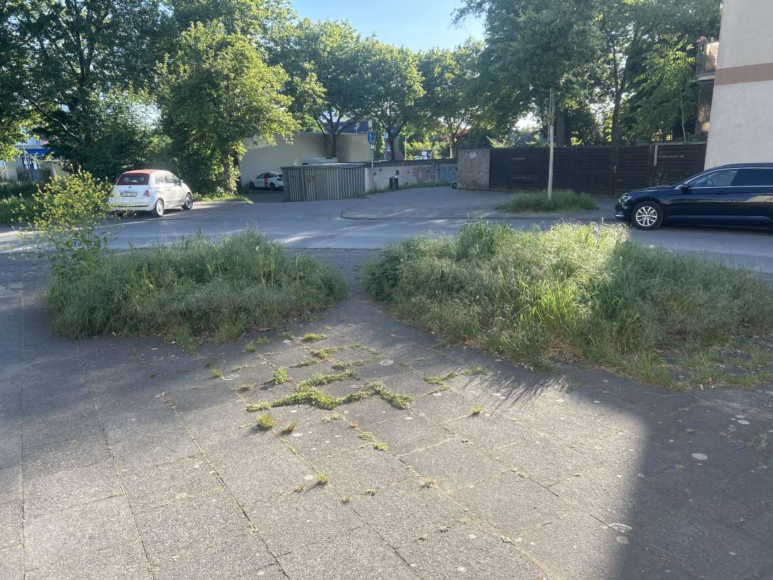 Bild zu gemeldetem Anliegen vom *2025-05-11 18:37:48