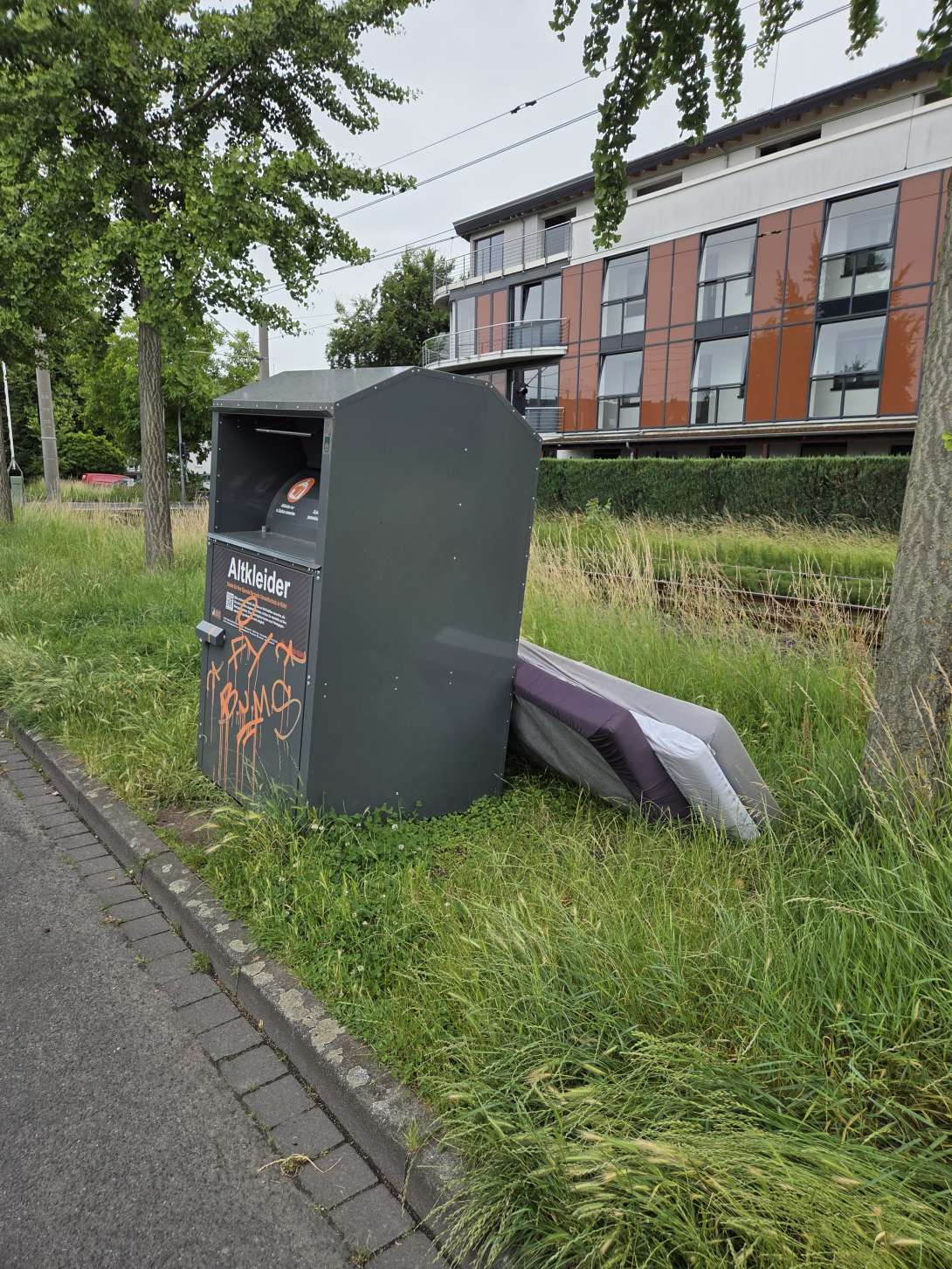 Bild zu gemeldetem Anliegen vom *2025-06-15 15:27:26