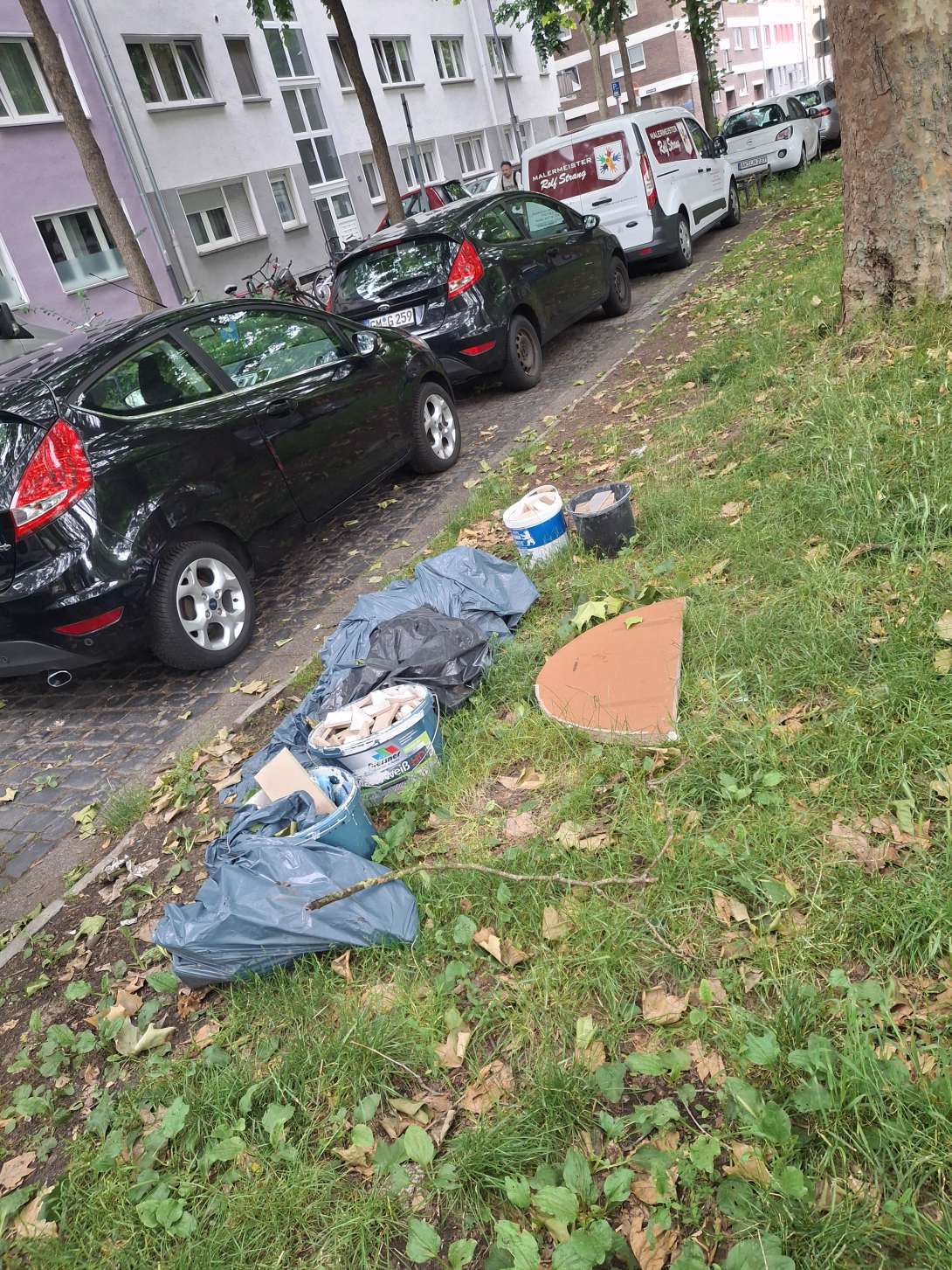 Bild zu gemeldetem Anliegen vom *2025-06-10 22:10:38