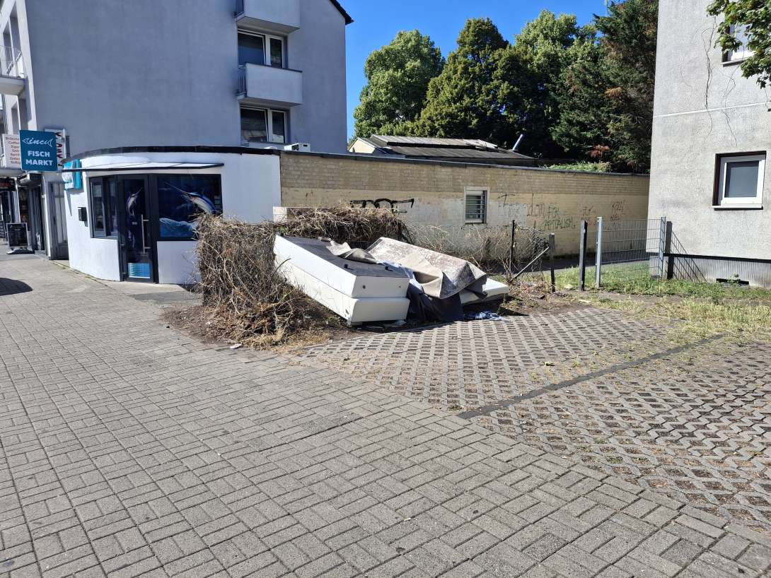 Bild zu gemeldetem Anliegen vom *2025-06-30 18:22:39