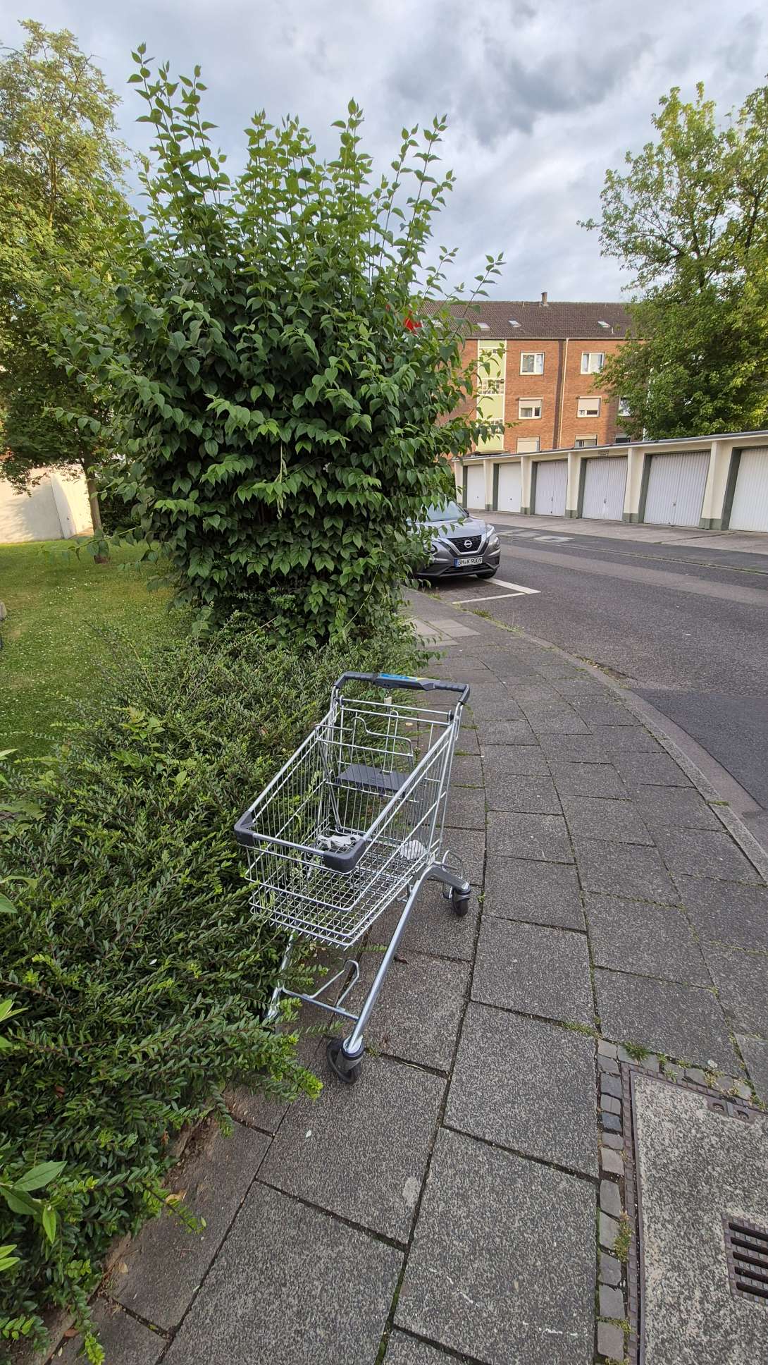 Bild zu gemeldetem Anliegen vom *2025-06-10 08:32:37