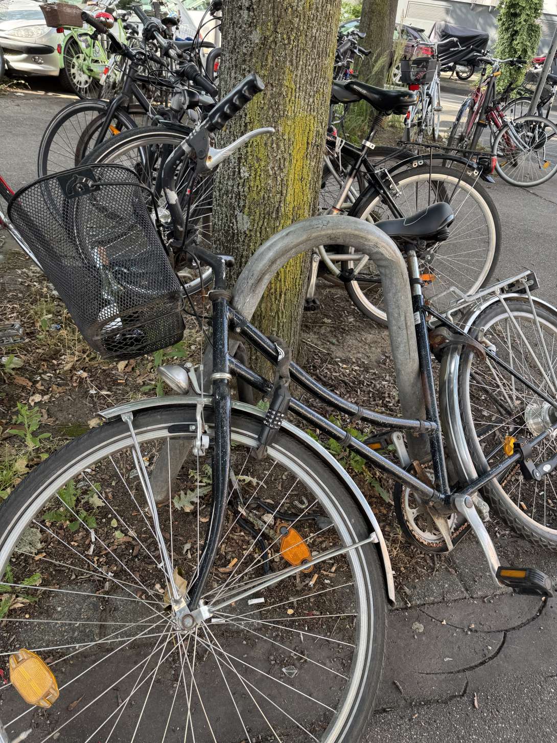 Bild zu gemeldetem Anliegen vom *2025-06-26 09:32:44