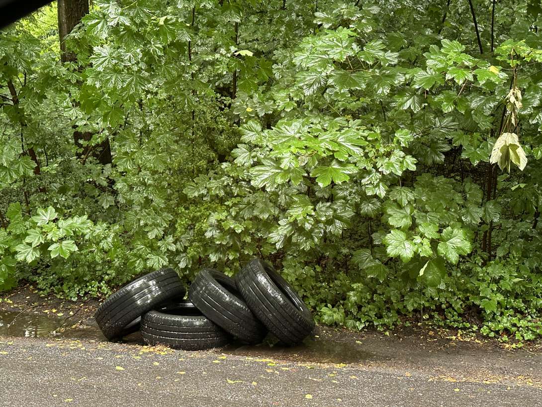 Bild zu gemeldetem Anliegen vom *2025-06-01 10:32:38