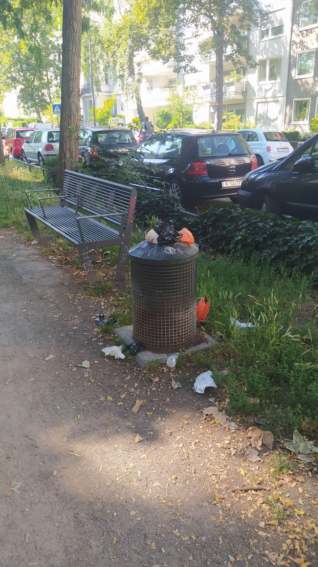 Bild zu gemeldetem Anliegen vom *2025-06-30 17:22:56