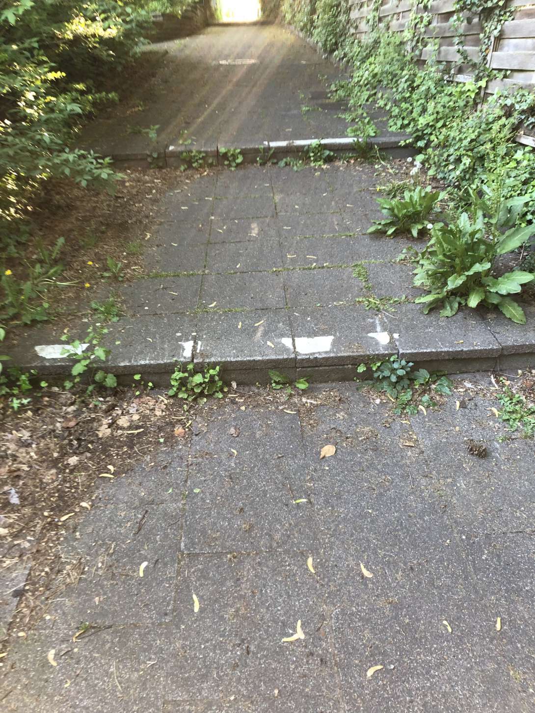 Bild zu gemeldetem Anliegen vom *2025-06-26 15:53:36