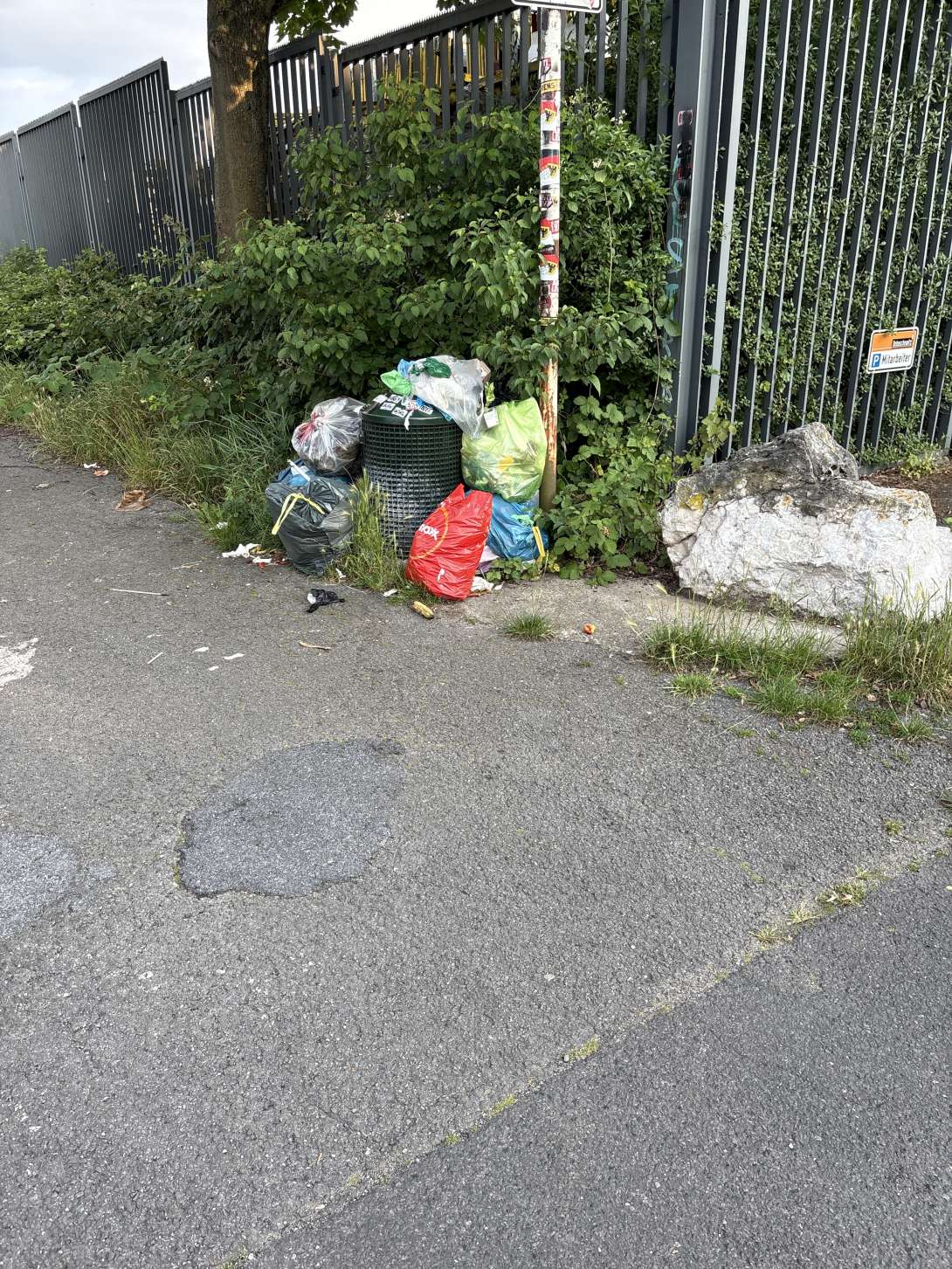 Bild zu gemeldetem Anliegen vom *2025-06-17 13:22:56