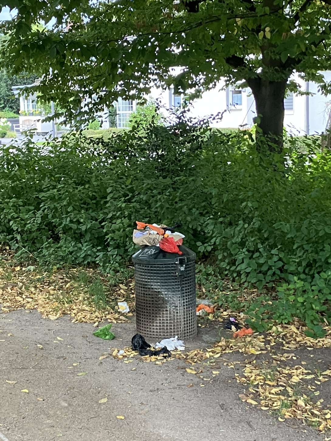 Bild zu gemeldetem Anliegen vom *2025-07-29 21:23:24