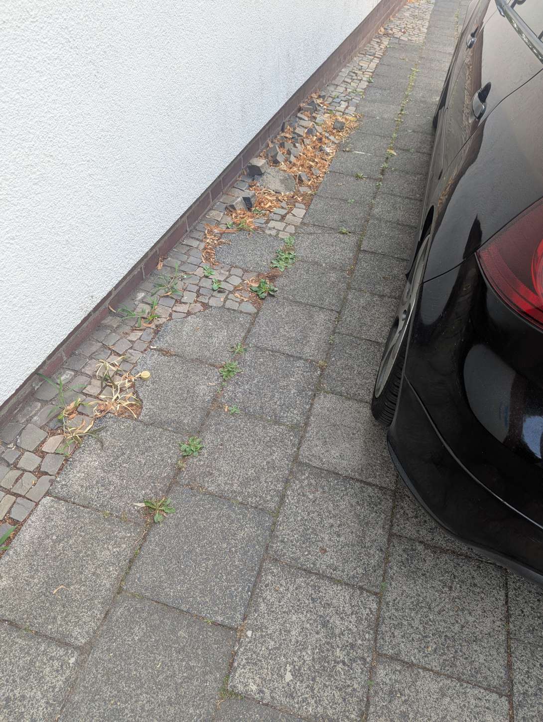 Bild zu gemeldetem Anliegen vom *2025-07-11 15:30:14