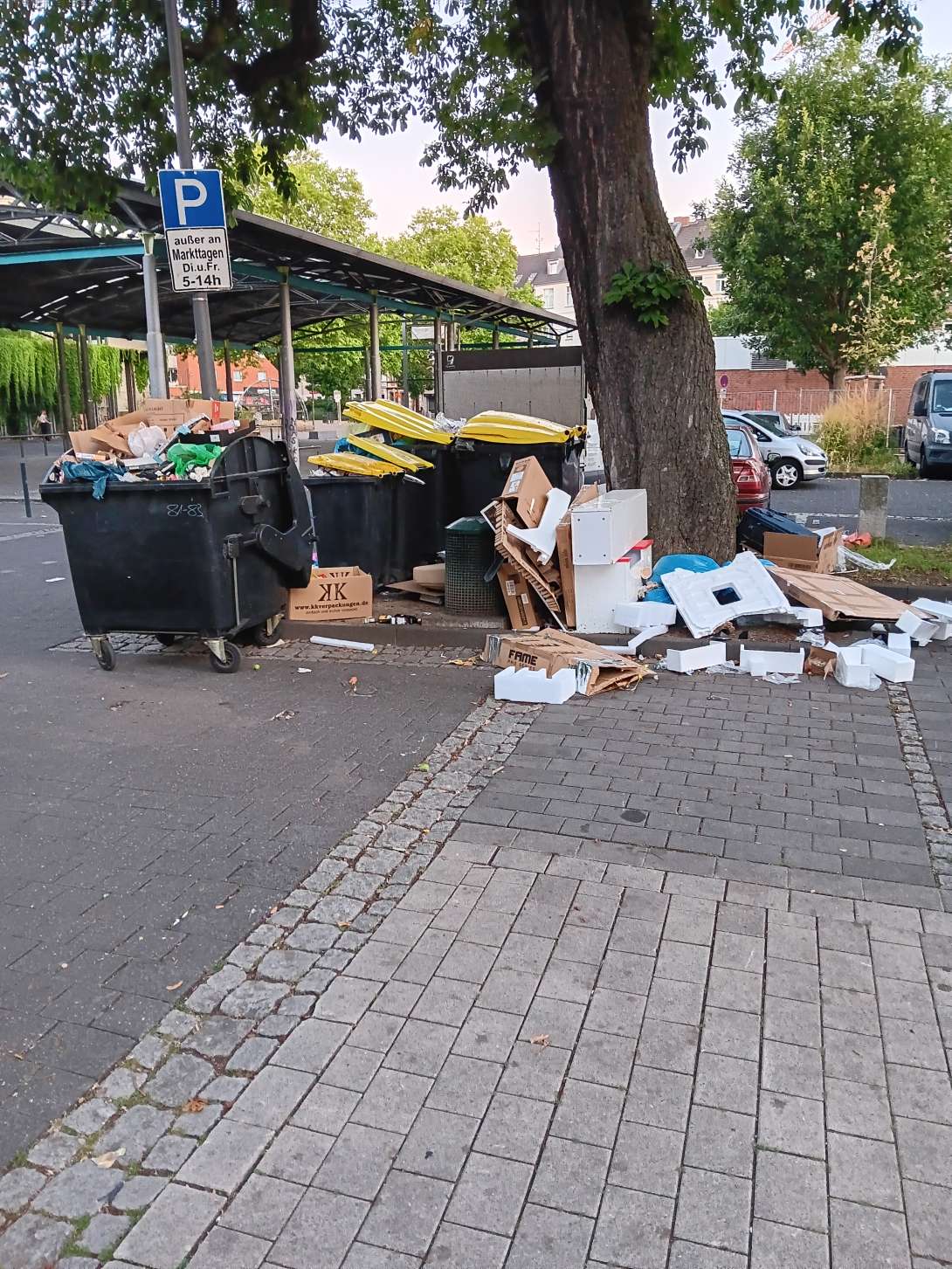 Bild zu gemeldetem Anliegen vom *2025-07-01 05:17:50