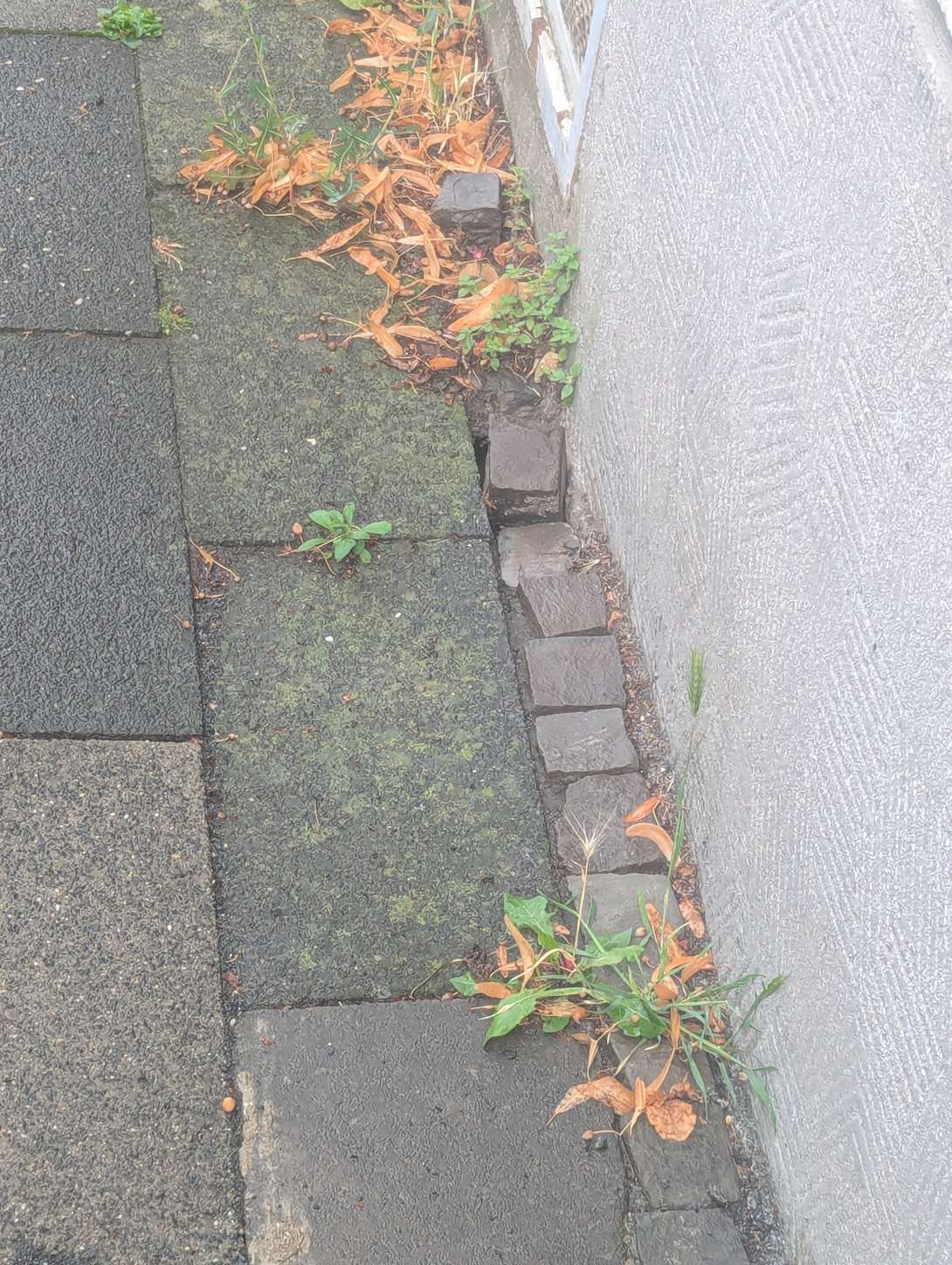 Bild zu gemeldetem Anliegen vom *2025-07-25 18:35:06