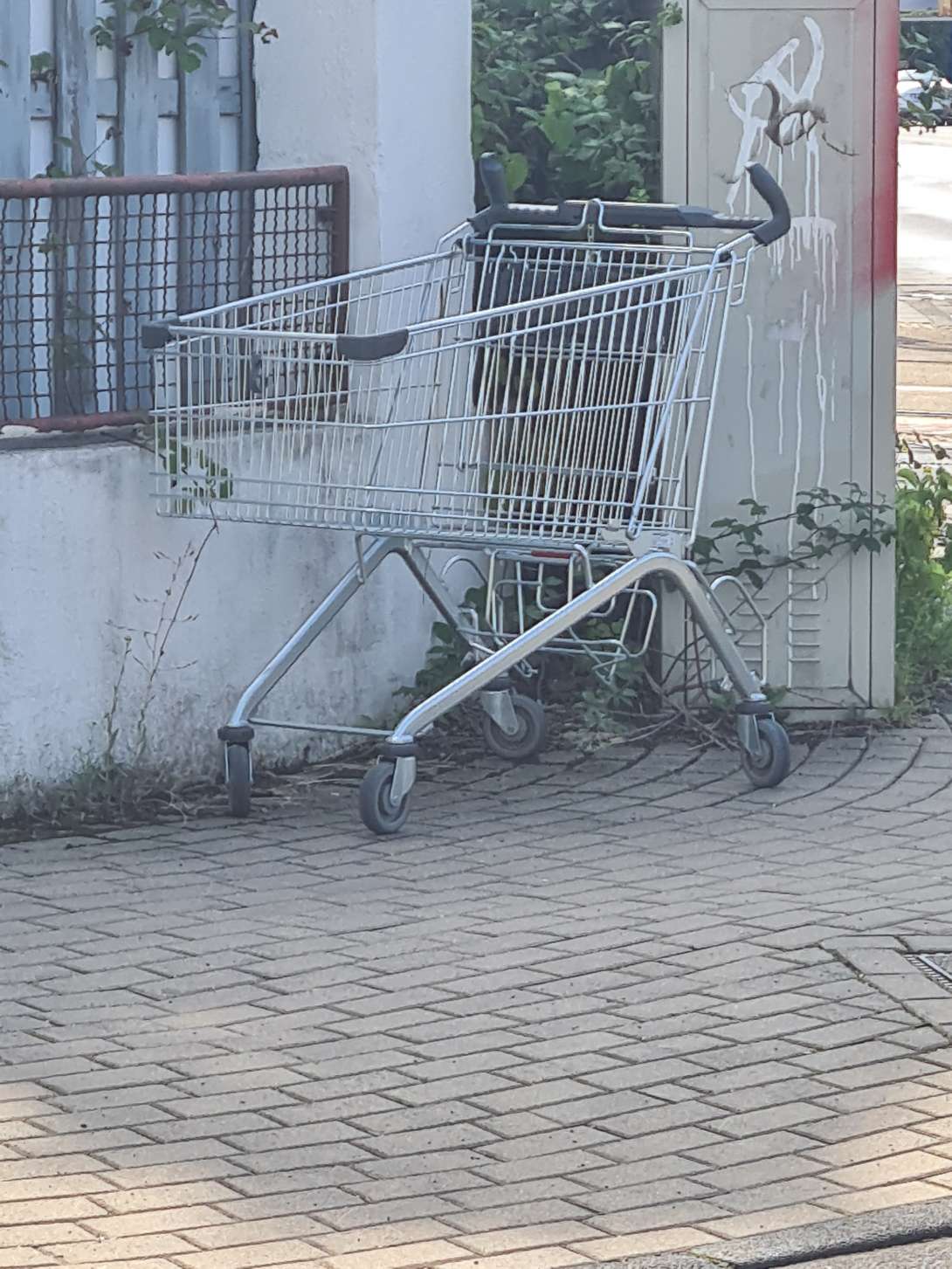 Bild zu gemeldetem Anliegen vom *2025-07-22 11:34:54