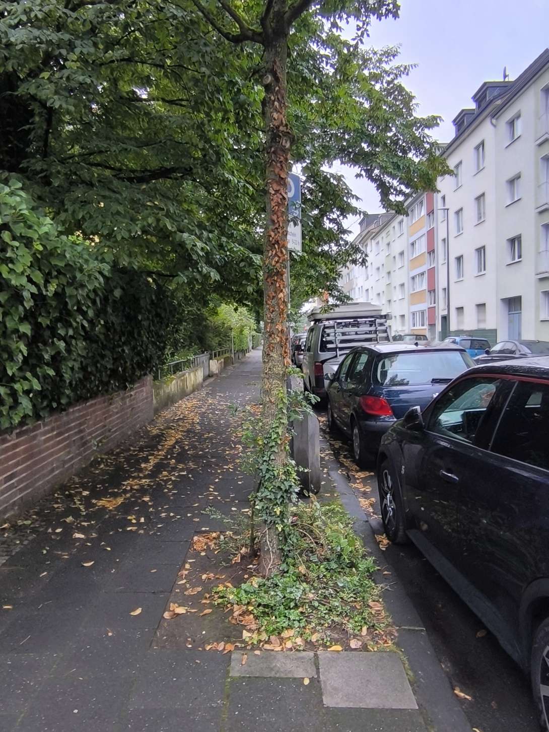 Bild zu gemeldetem Anliegen vom *2025-07-27 11:54:41