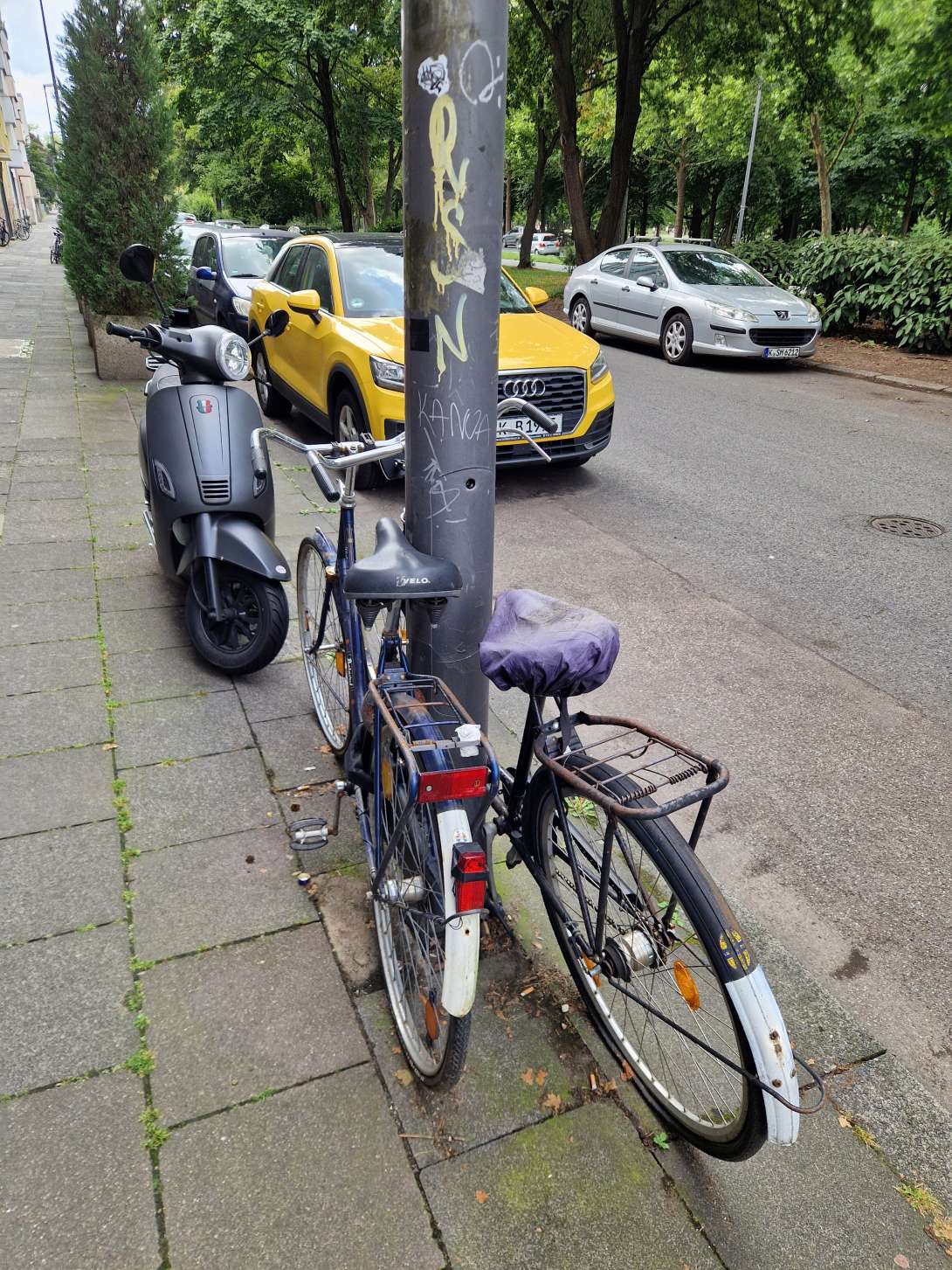 Bild zu gemeldetem Anliegen vom *2025-07-27 16:23:51