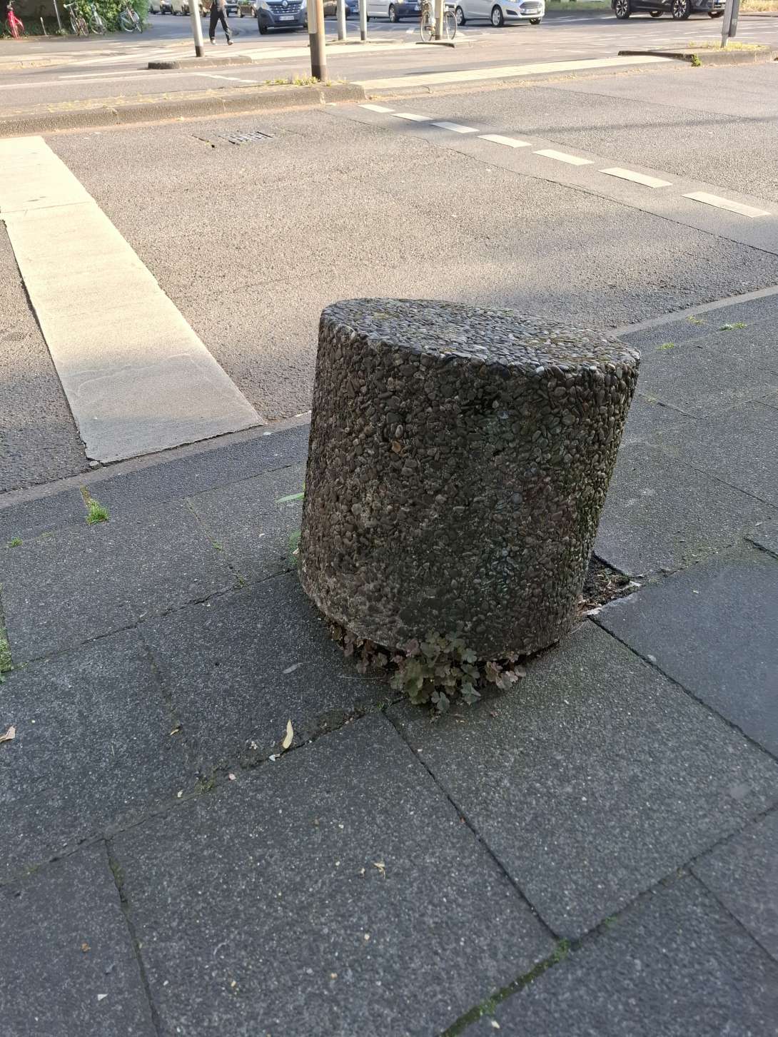 Bild zu gemeldetem Anliegen vom *2025-07-02 08:25:36