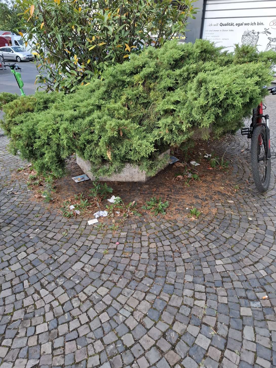 Bild zu gemeldetem Anliegen vom *2025-07-11 08:20:23