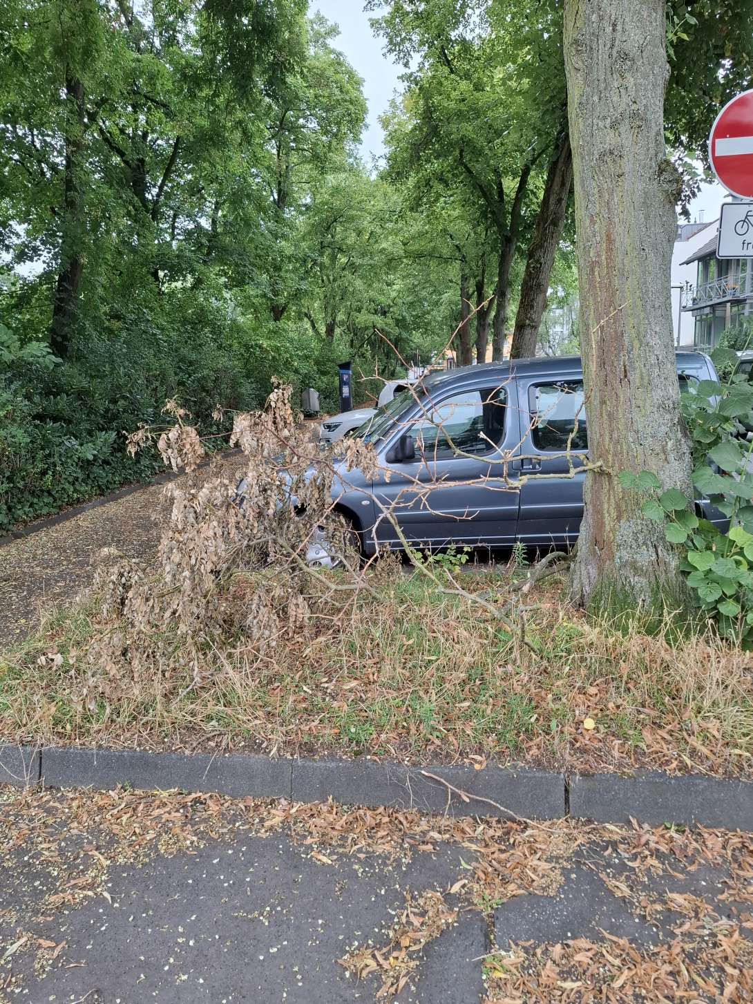 Bild zu gemeldetem Anliegen vom *2025-07-24 09:57:33