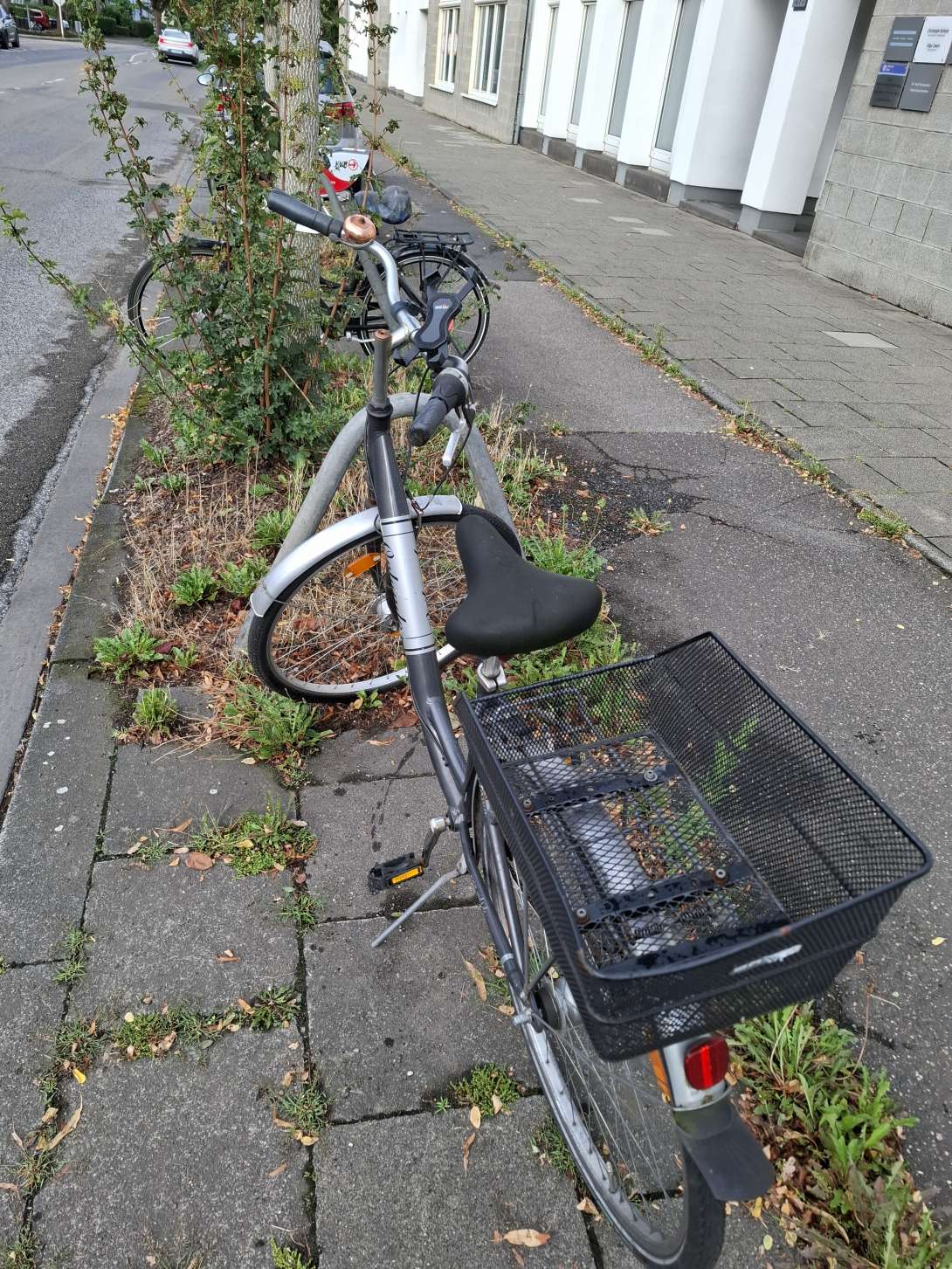 Bild zu gemeldetem Anliegen vom *2025-07-29 06:32:19