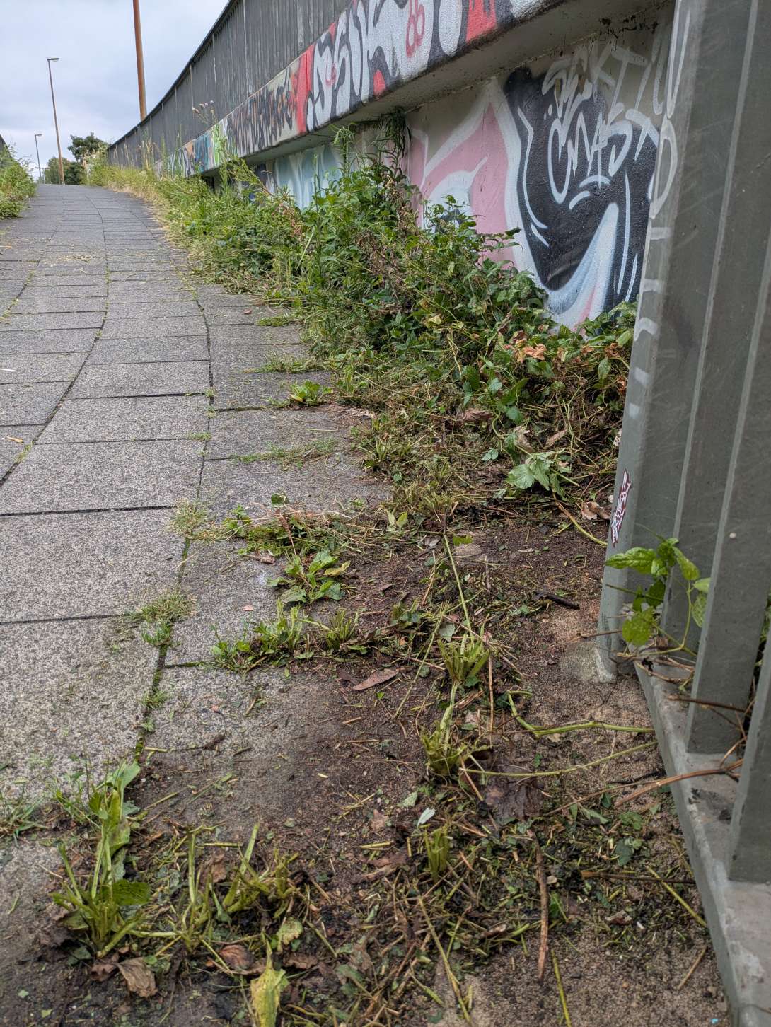 Bild zu gemeldetem Anliegen vom *2025-07-22 10:17:01