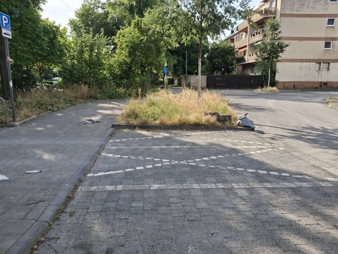 Bild zu gemeldetem Anliegen vom *2025-07-05 01:14:10