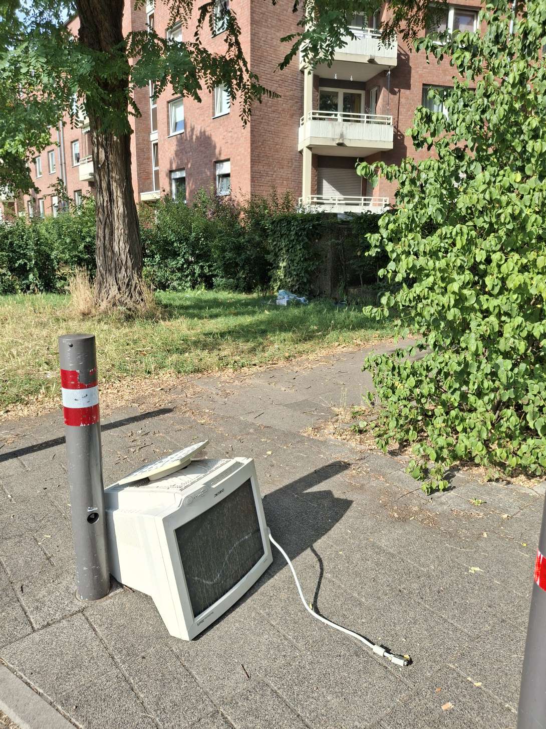 Bild zu gemeldetem Anliegen vom *2025-07-05 01:12:14
