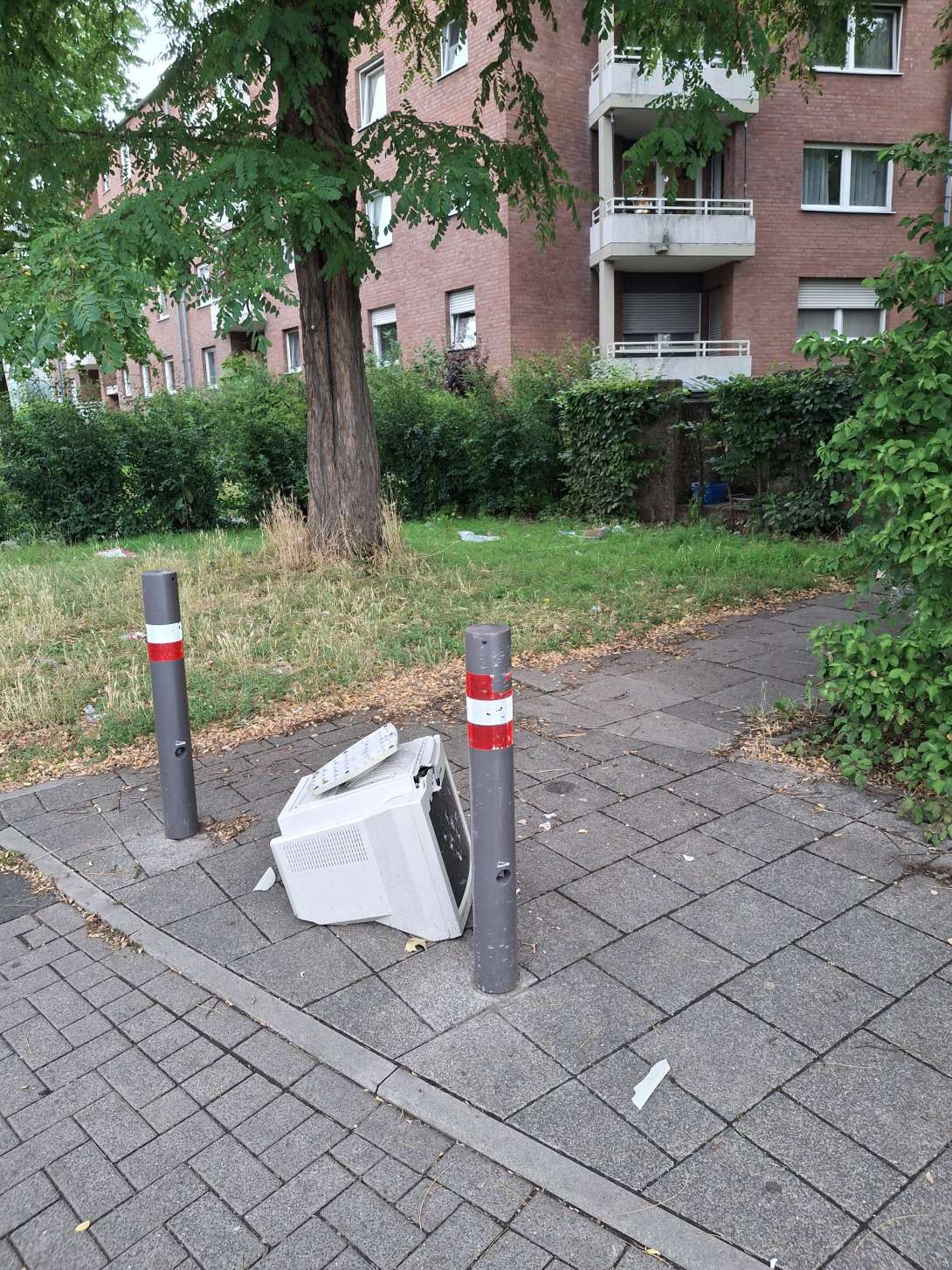 Bild zu gemeldetem Anliegen vom *2025-07-09 11:19:53