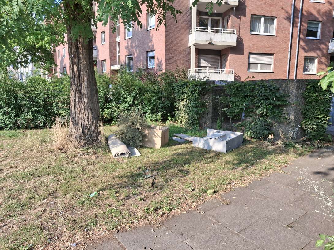 Bild zu gemeldetem Anliegen vom *2025-07-15 10:31:42