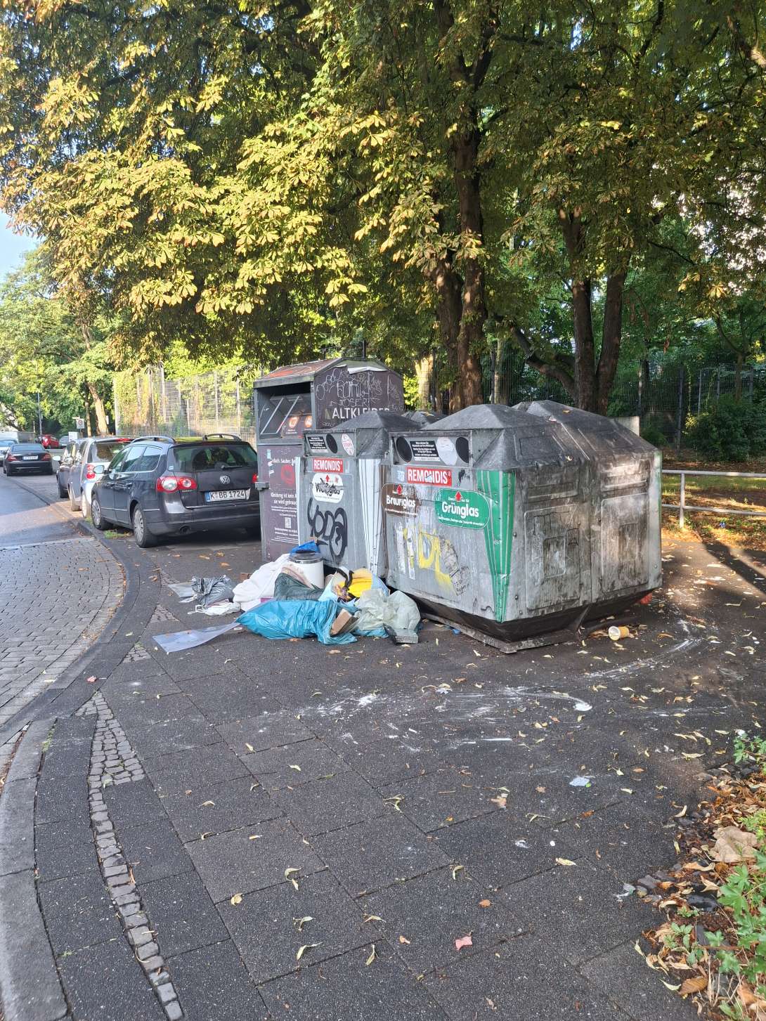 Bild zu gemeldetem Anliegen vom *2025-07-15 10:34:31