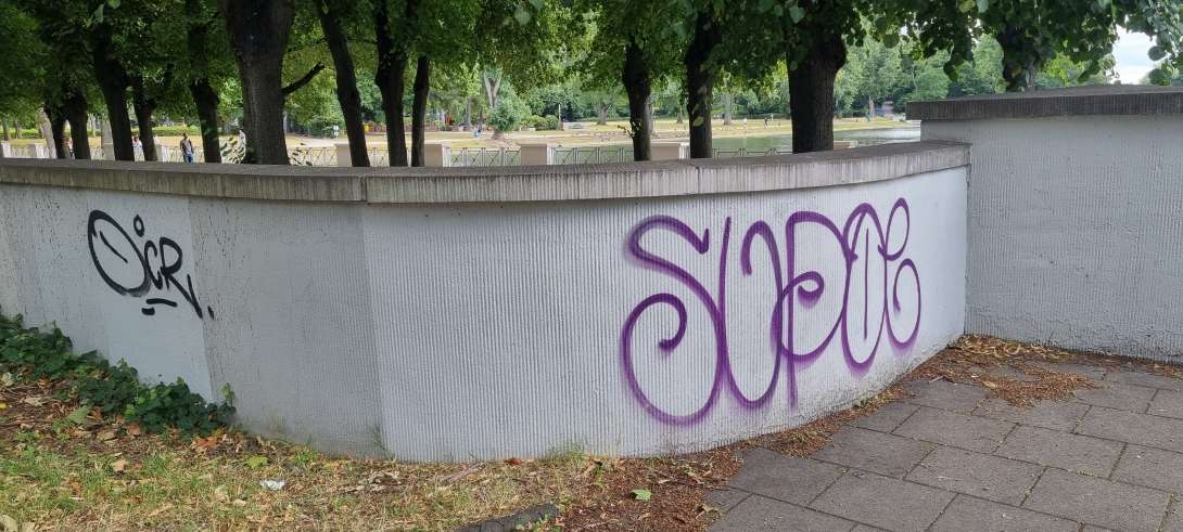 Bild zu gemeldetem Anliegen vom *2025-07-08 16:00:25