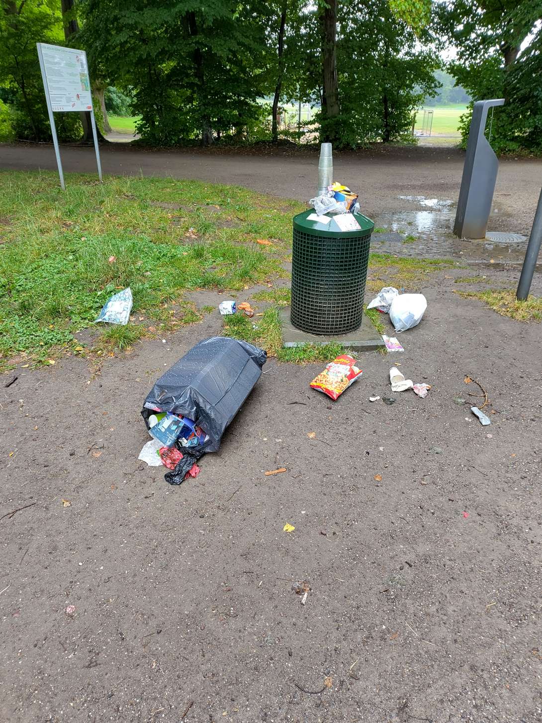 Bild zu gemeldetem Anliegen vom *2025-07-09 08:28:54