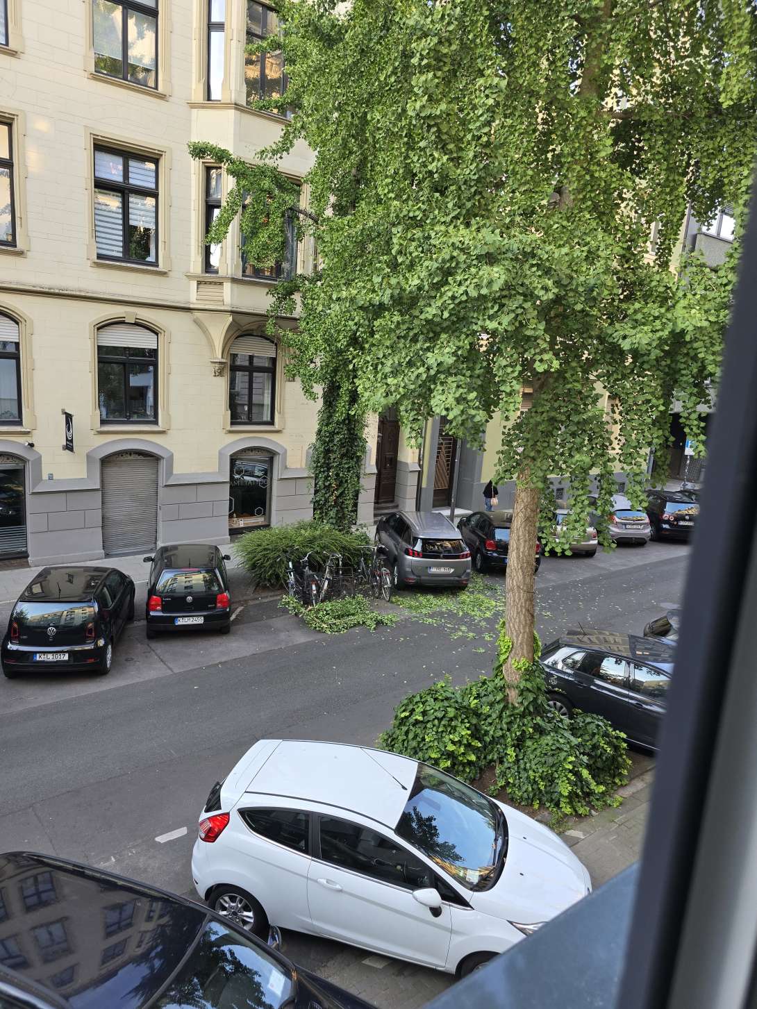 Bild zu gemeldetem Anliegen vom *2025-07-09 20:30:47