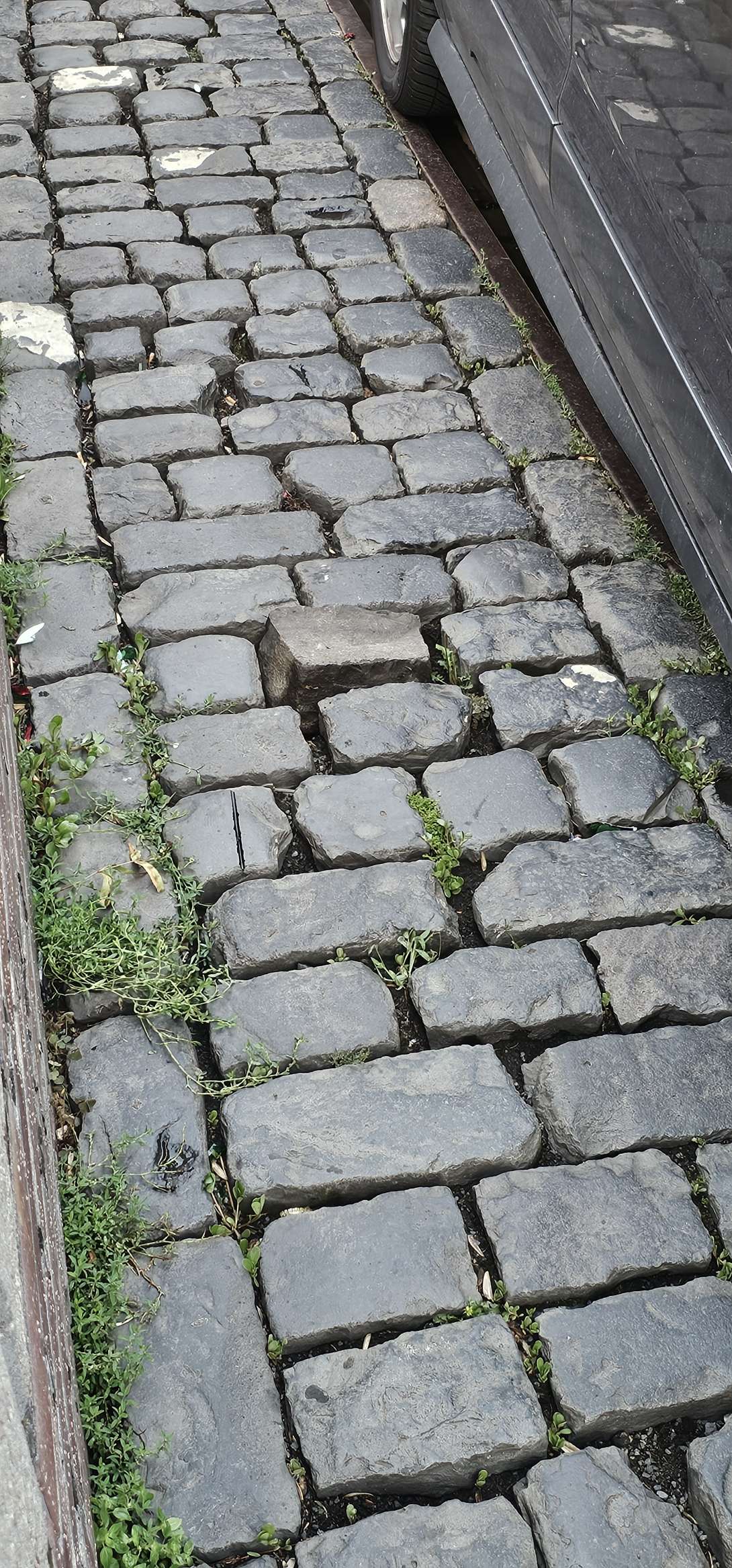 Bild zu gemeldetem Anliegen vom *2025-07-20 18:27:58