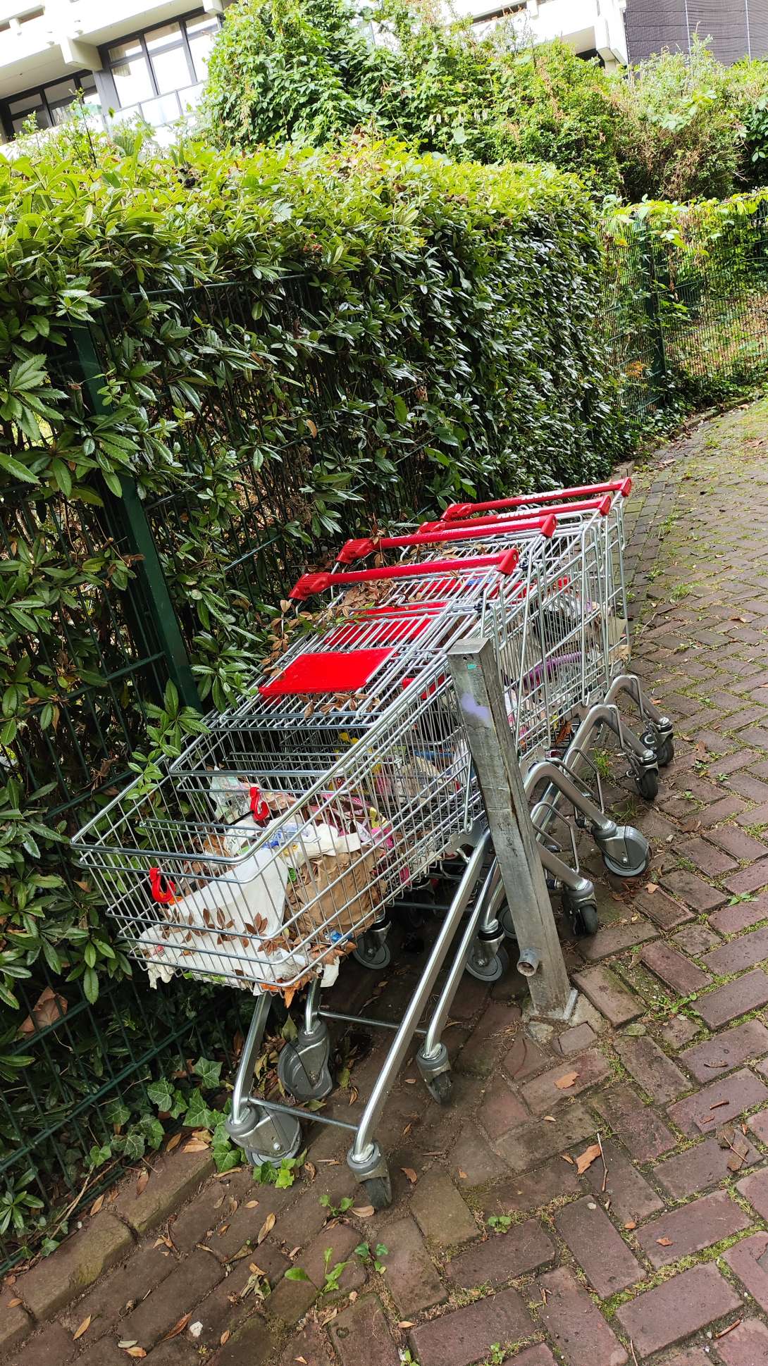 Bild zu gemeldetem Anliegen vom *2025-07-22 11:08:38