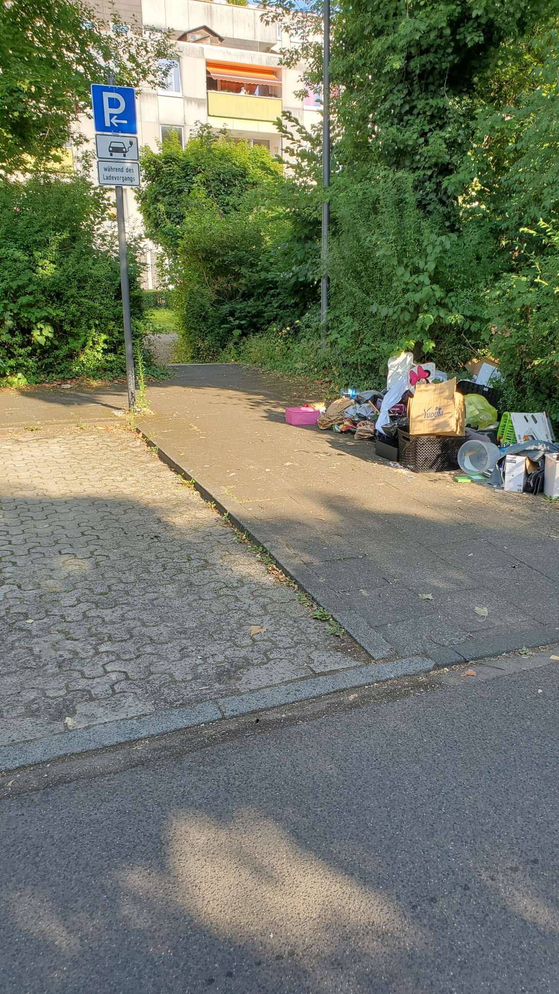 Bild zu gemeldetem Anliegen vom *2025-07-01 18:15:48