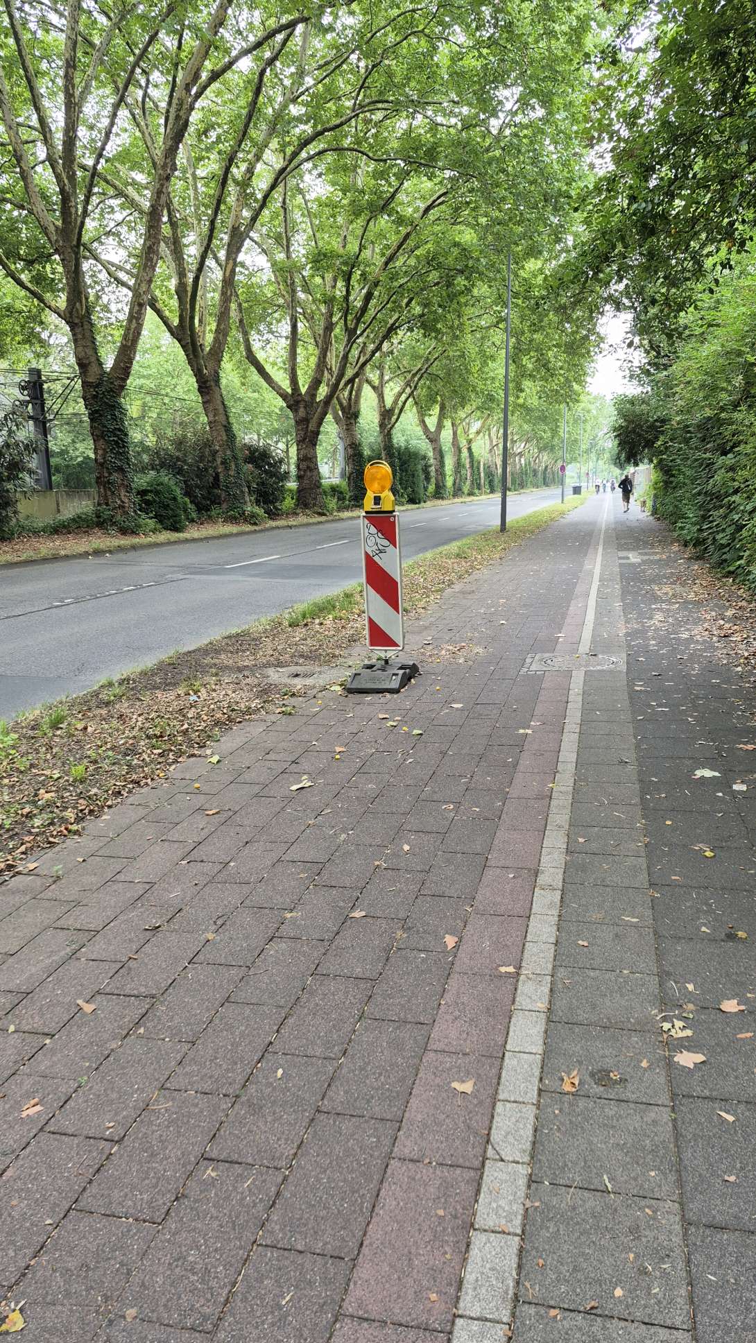 Bild zu gemeldetem Anliegen vom *2025-07-24 08:51:45