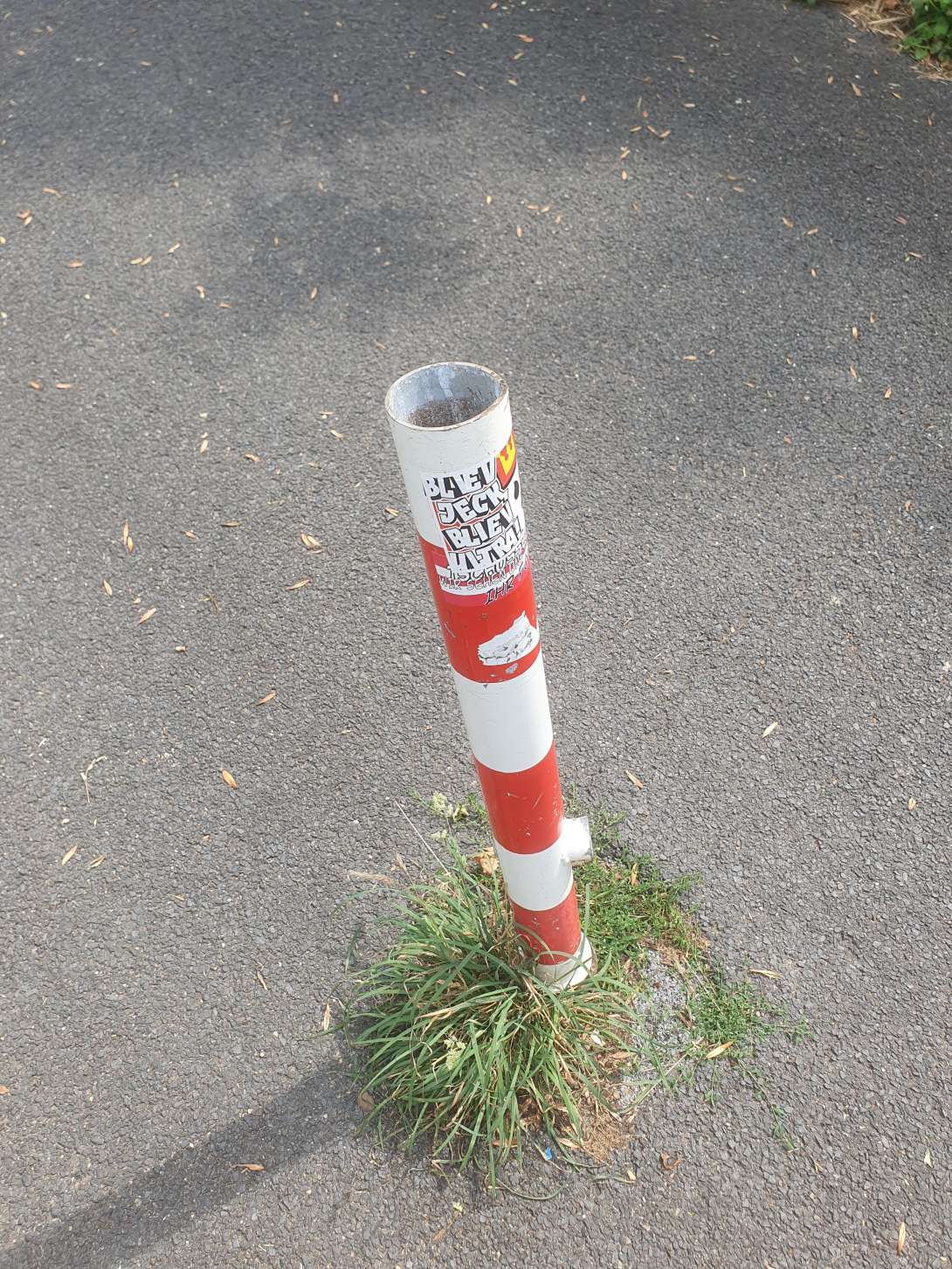 Bild zu gemeldetem Anliegen vom *2025-07-24 15:28:37