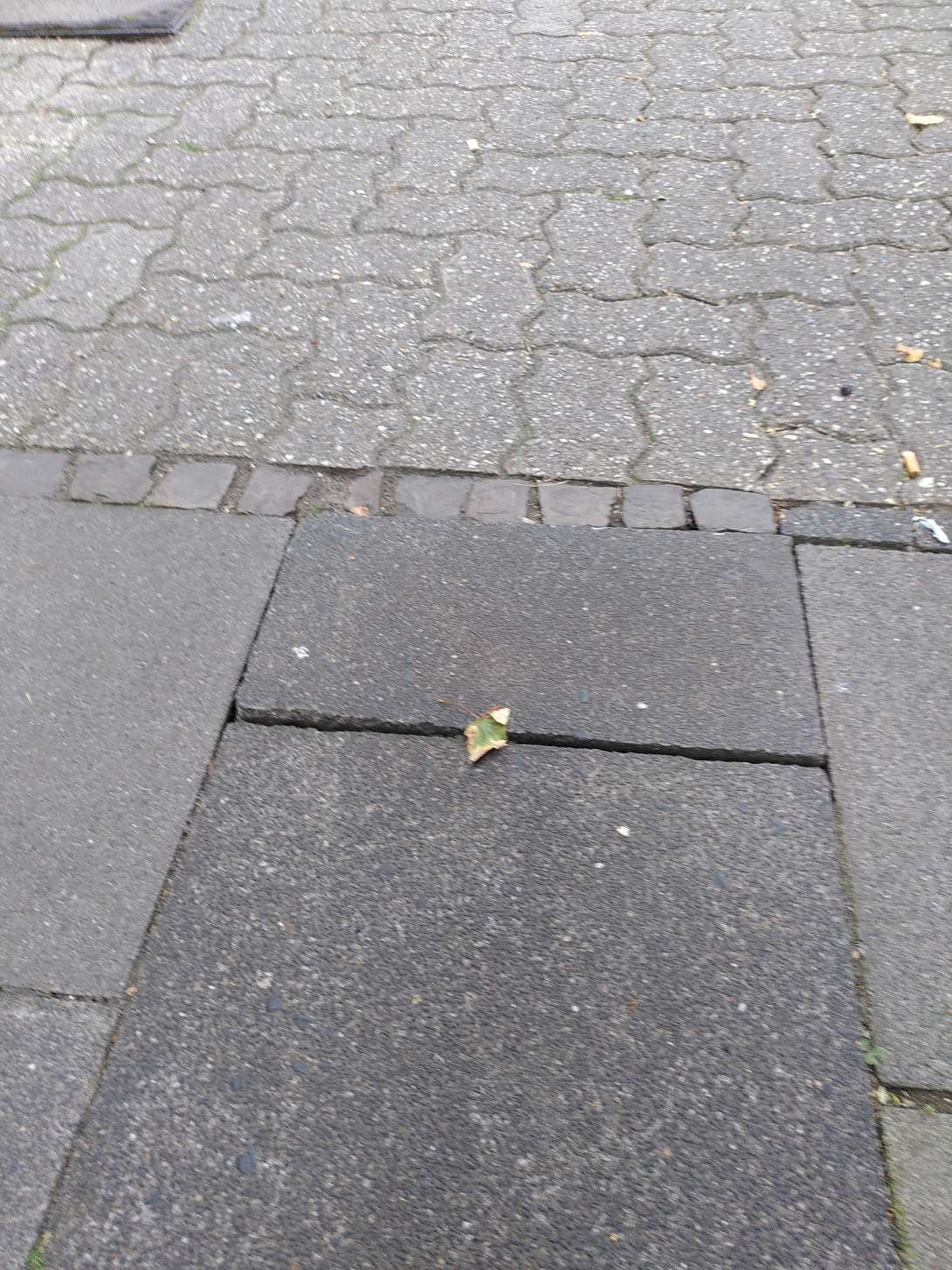 Bild zu gemeldetem Anliegen vom *2025-07-19 19:58:40