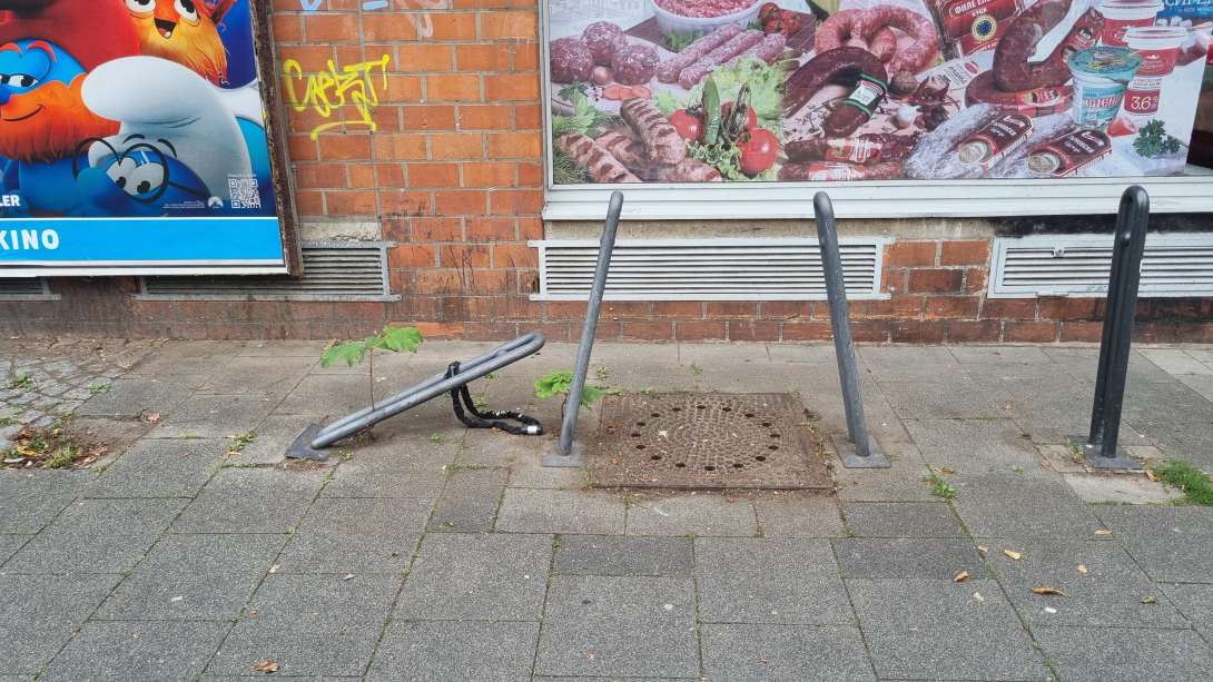 Bild zu gemeldetem Anliegen vom *2025-07-28 13:27:22