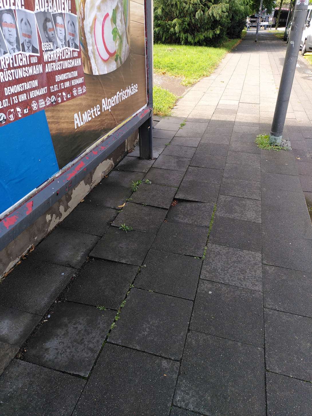 Bild zu gemeldetem Anliegen vom *2025-07-29 13:30:43