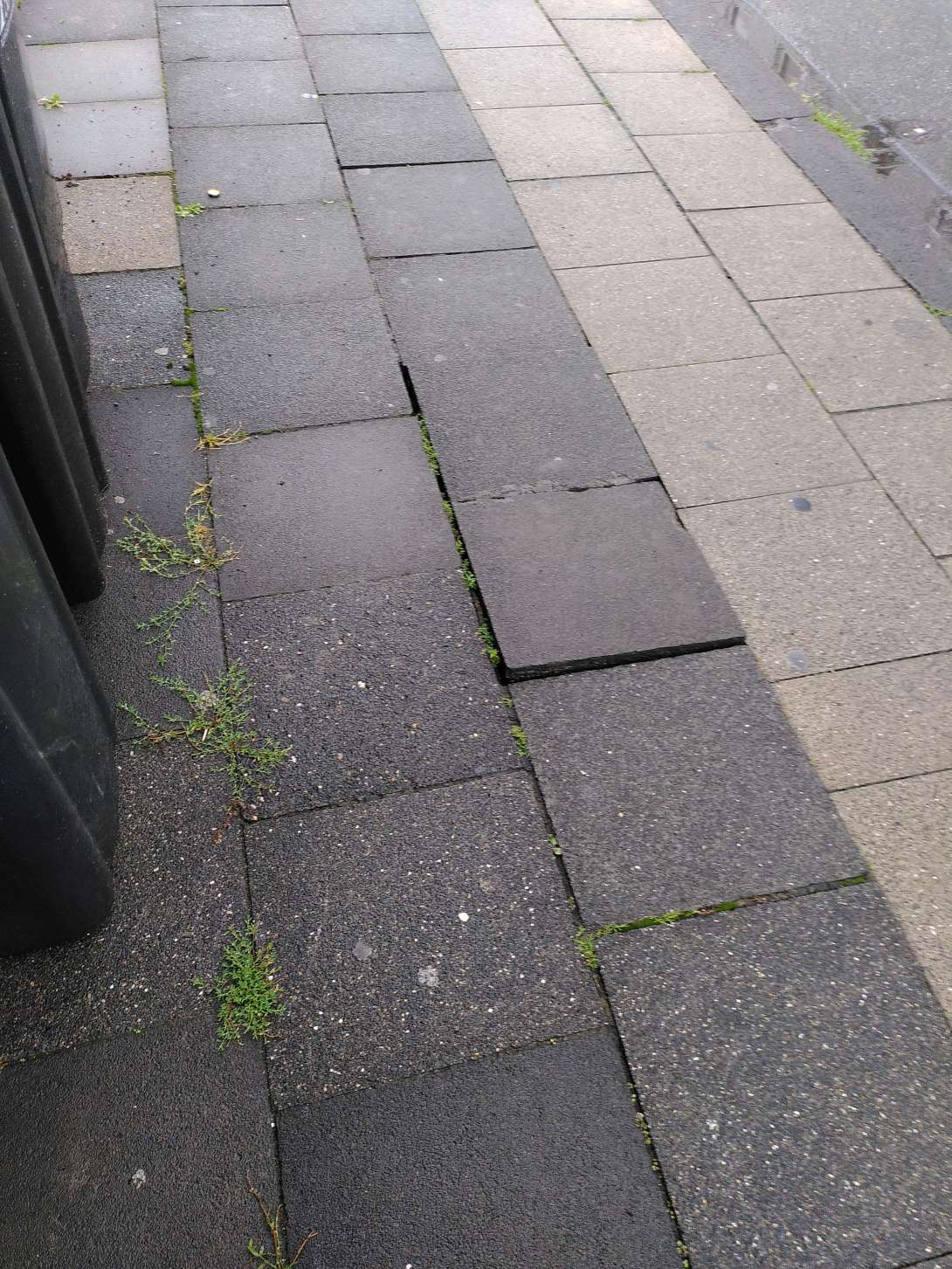 Bild zu gemeldetem Anliegen vom *2025-07-31 19:21:21