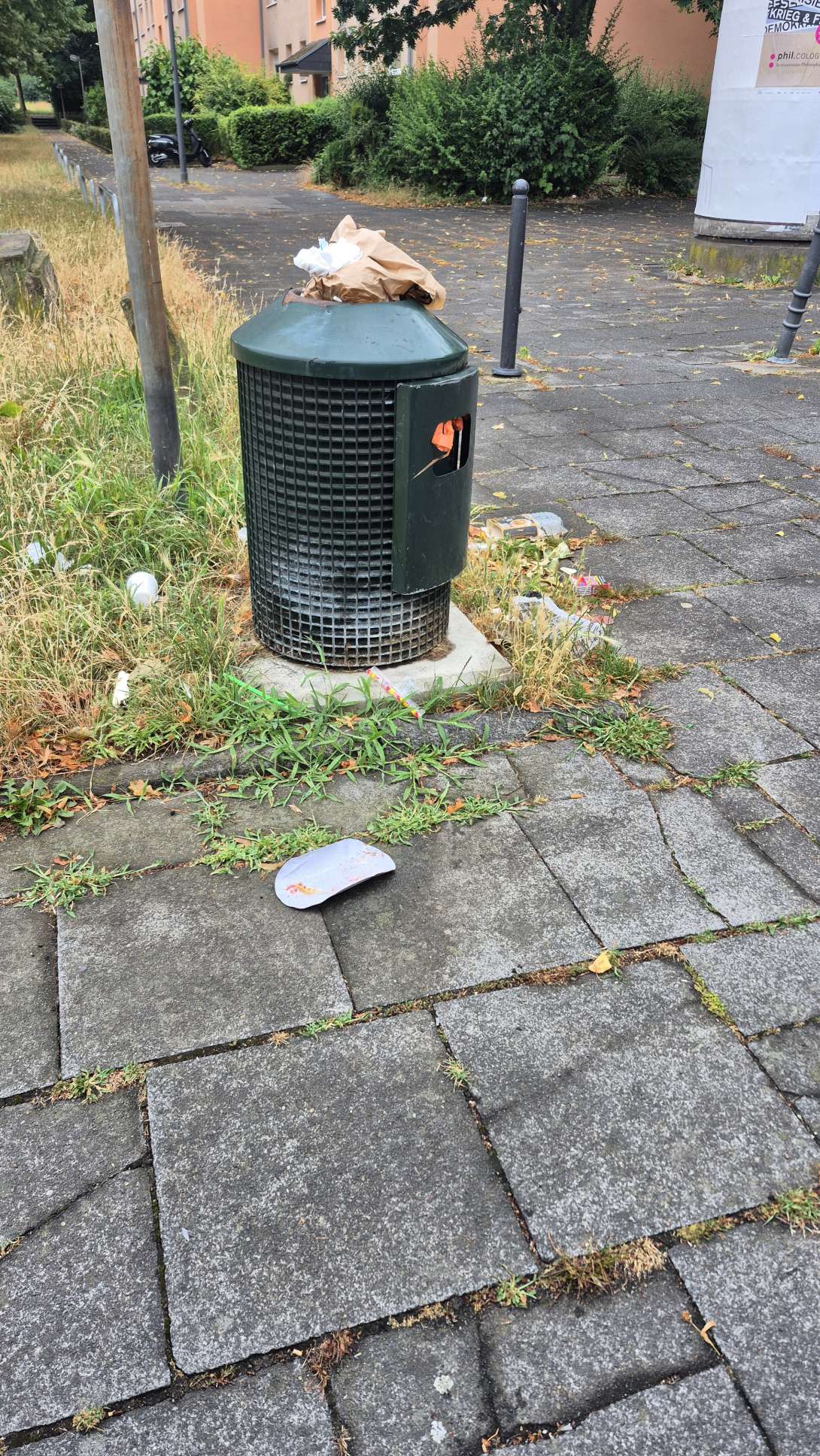 Bild zu gemeldetem Anliegen vom *2025-07-06 12:23:59