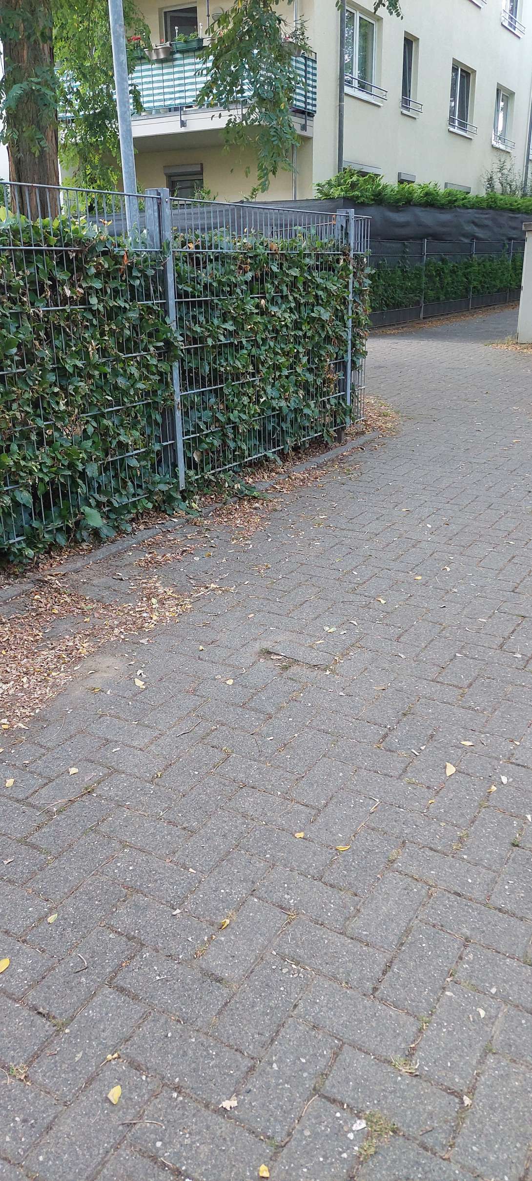 Bild zu gemeldetem Anliegen vom *2025-07-12 15:36:14