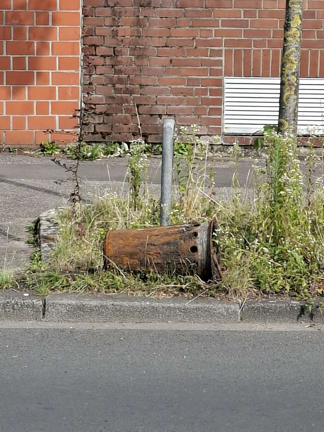 Bild zu gemeldetem Anliegen vom *2025-07-18 19:16:25