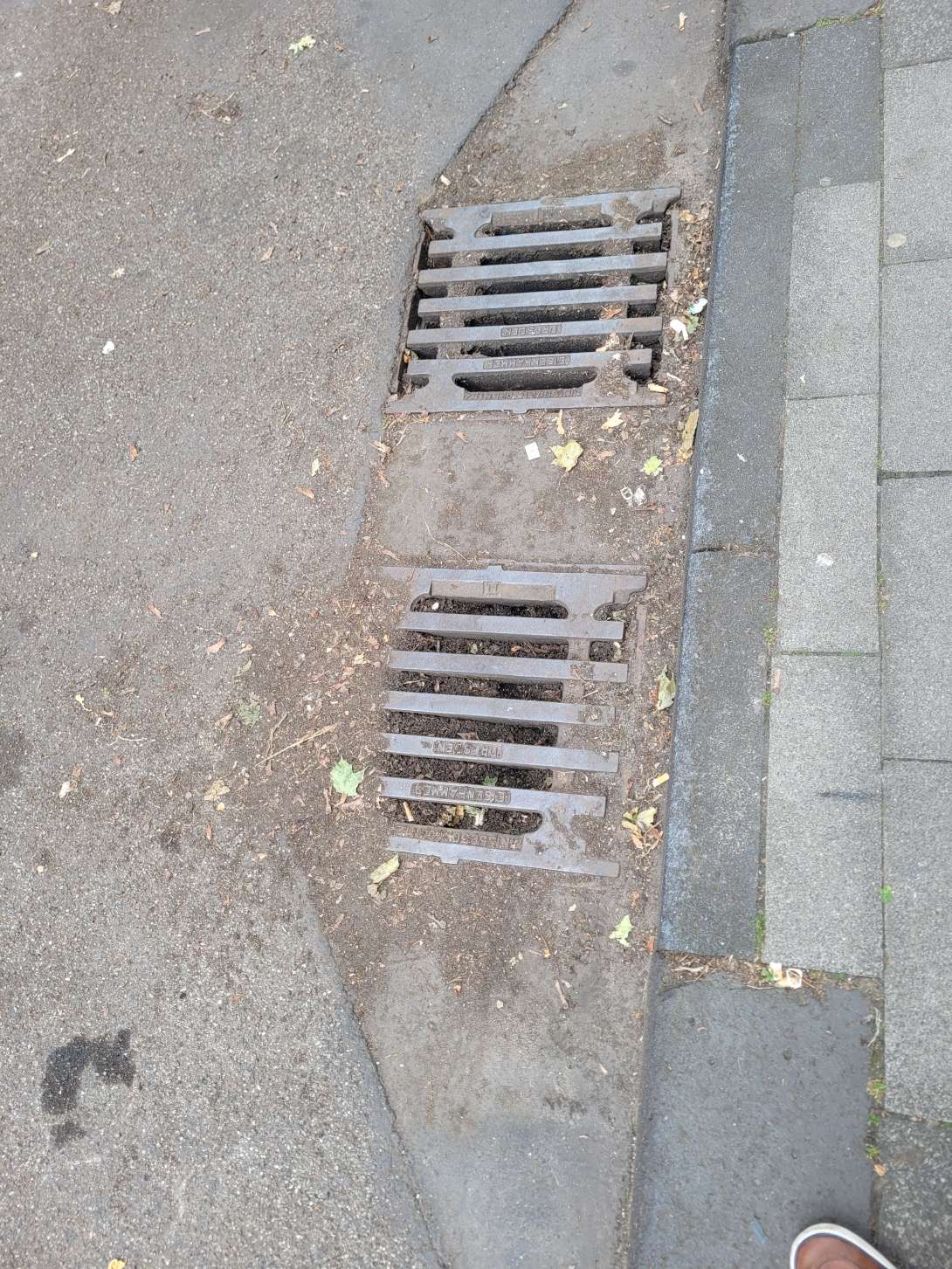 Bild zu gemeldetem Anliegen vom *2025-07-19 18:29:21
