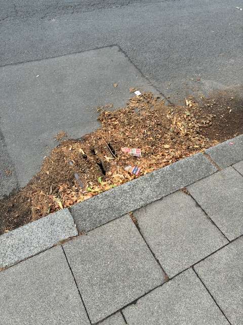 Bild zu gemeldetem Anliegen vom *2025-07-20 12:27:51